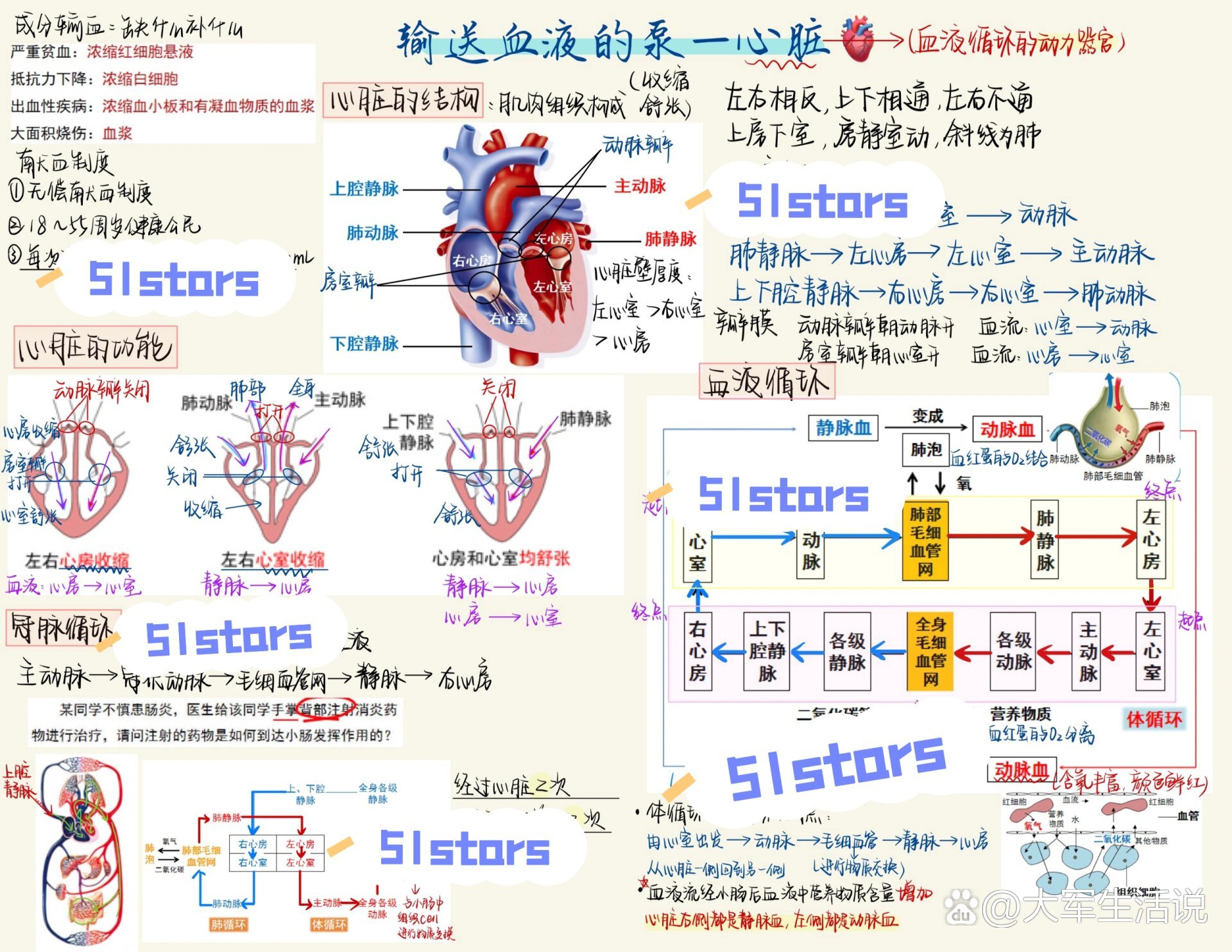 血液循环系统思维导图