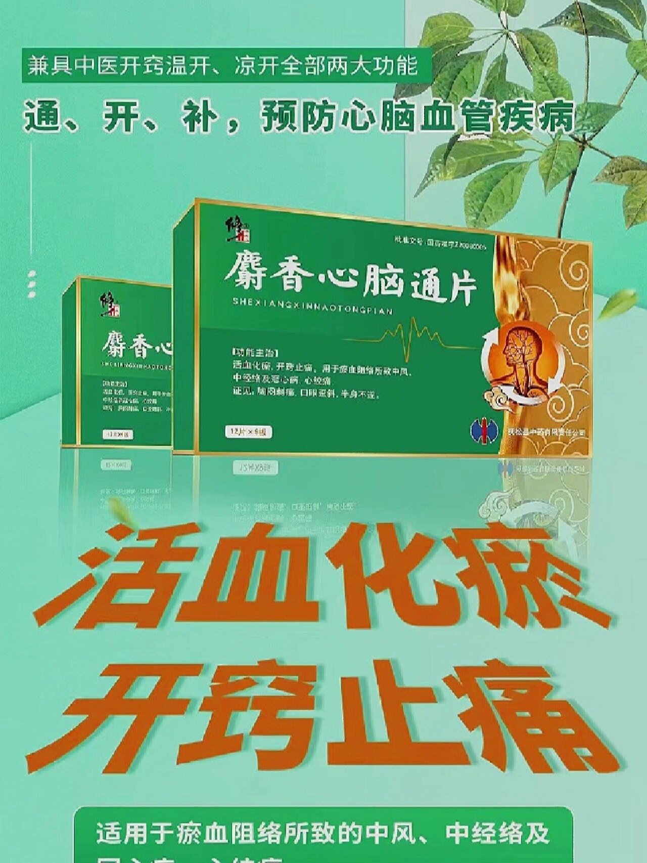 修正复方首乌地黄丸 麝香心脑通