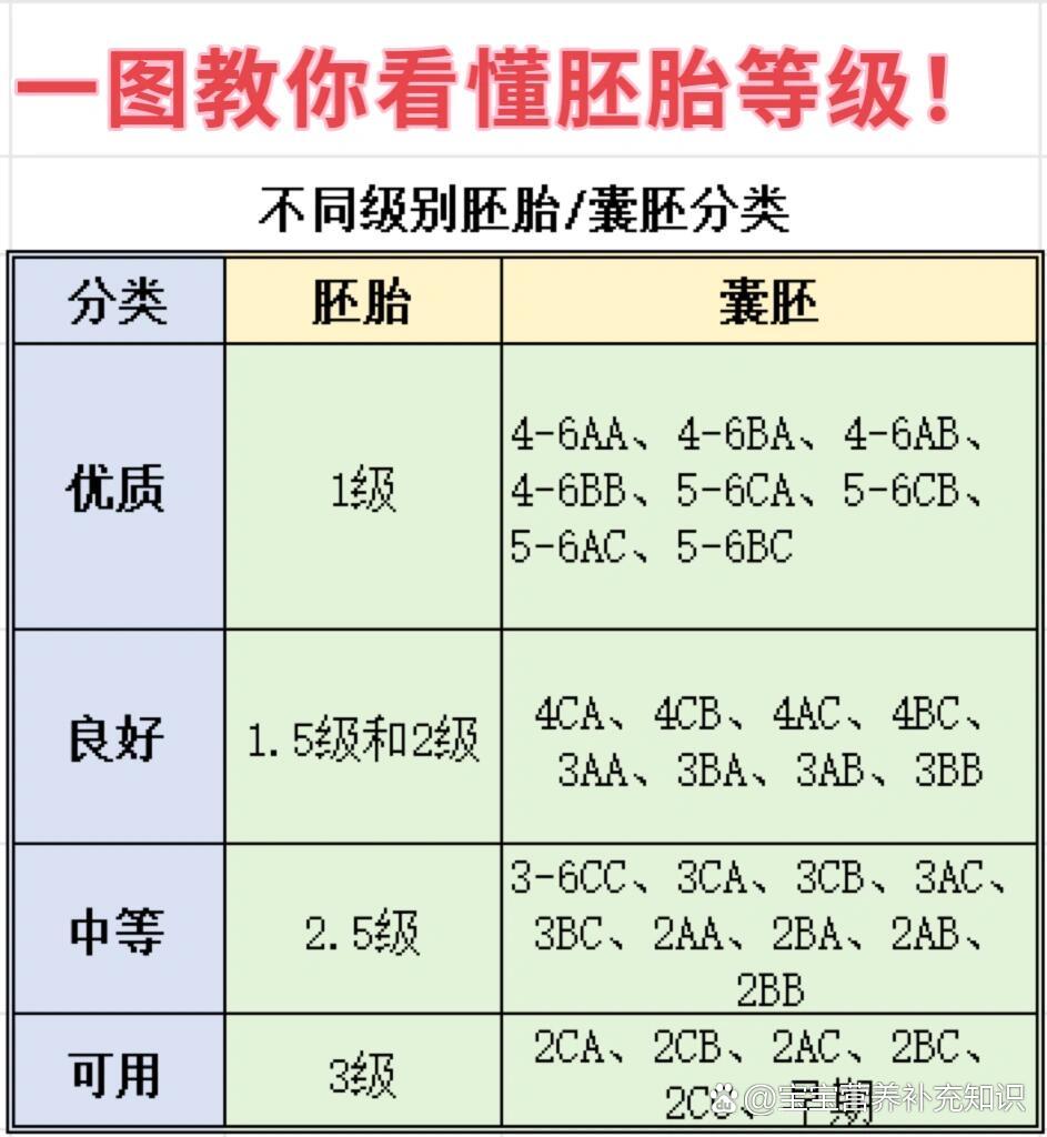 囊胚级别顺序图片