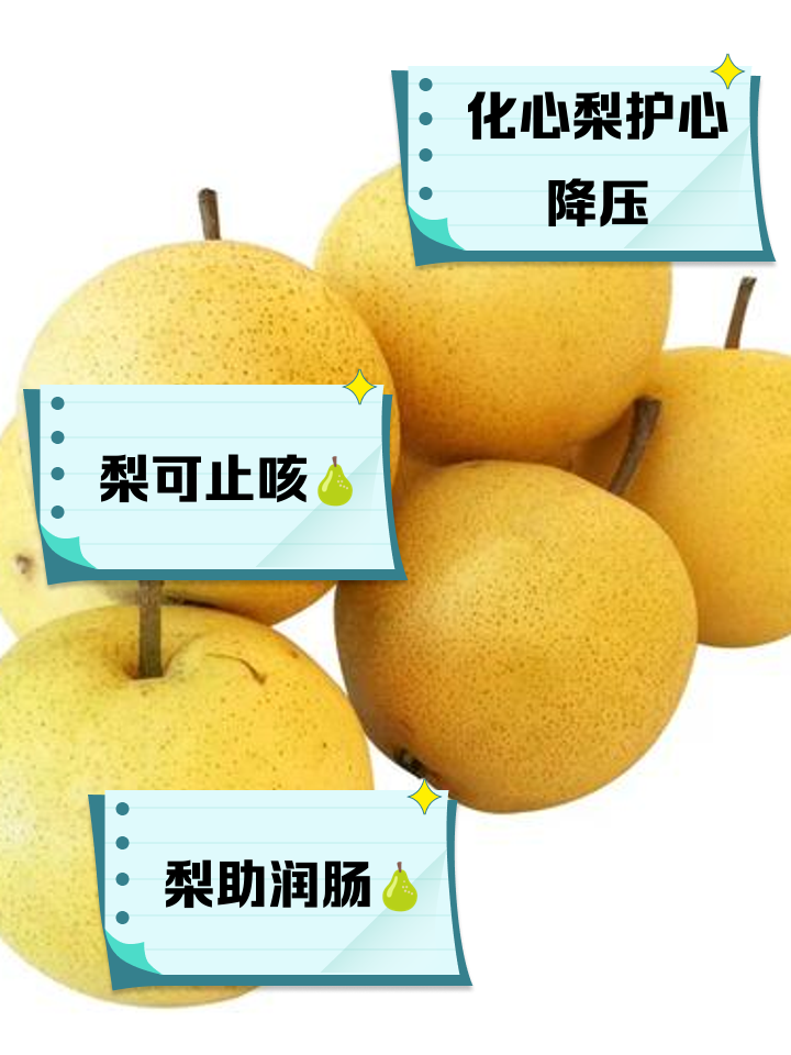 化心梨的功效与作用