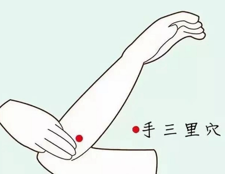 手三里的准确位置图