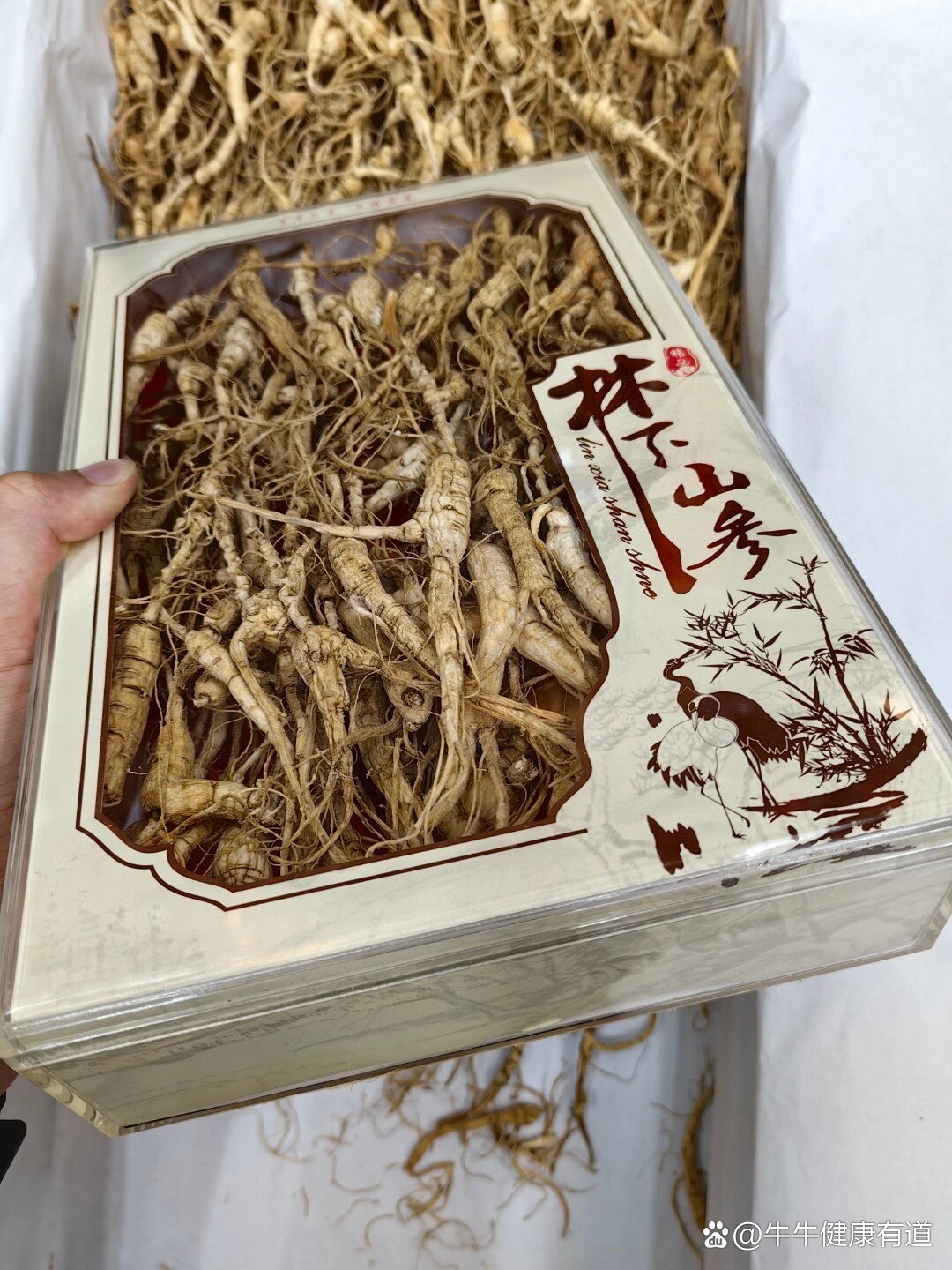 【十七年人参】长白山产地林下参,野生环境种植,某宝京东一斤4000