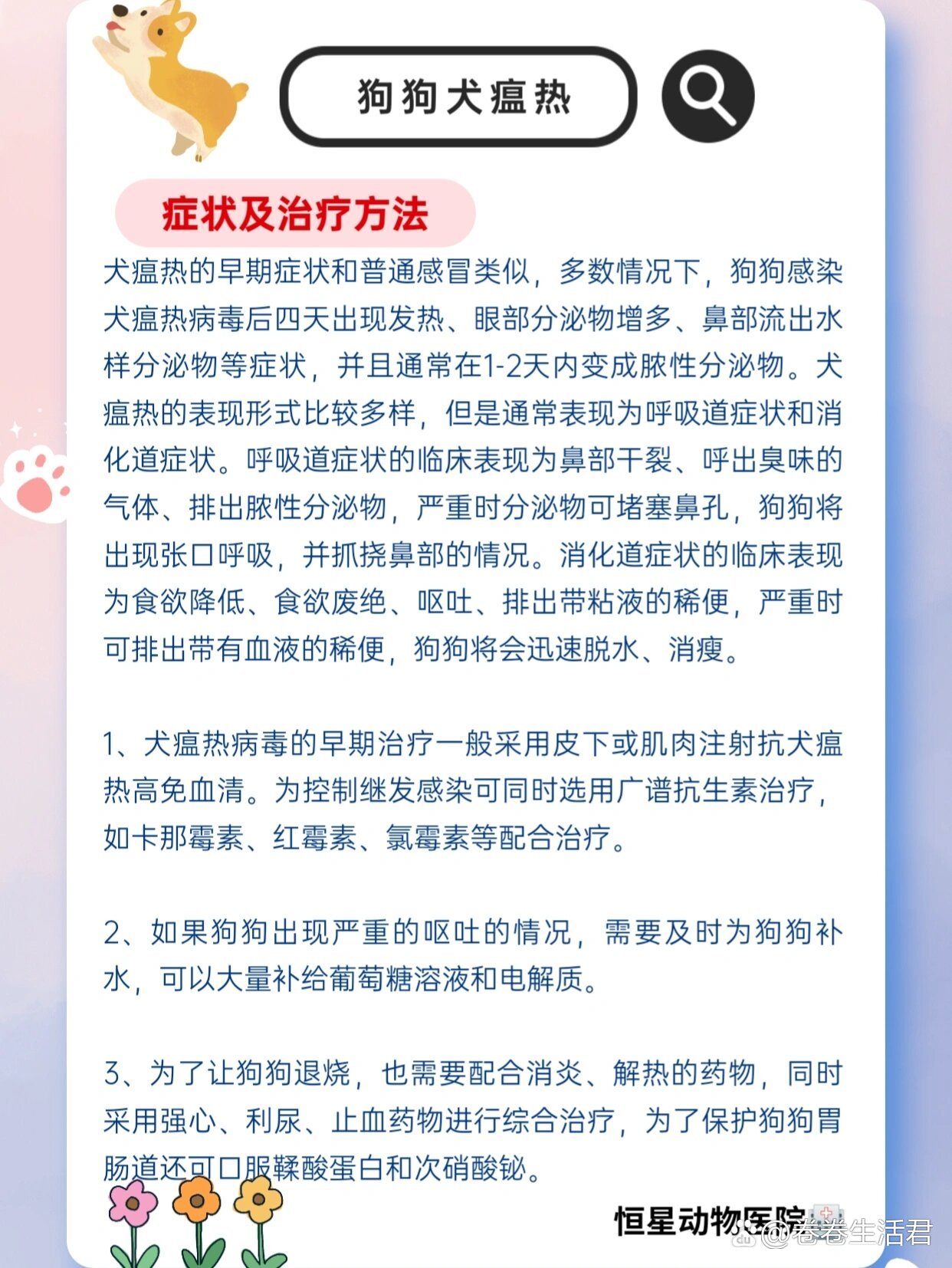 狗瘟/犬瘟热的治疗方法与症状
