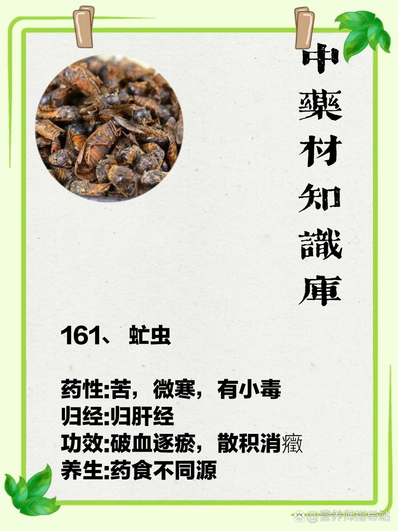 虻虫 br>药性:苦,微寒,有小毒 br>归经:归肝经 br>功效:破血逐瘀,散