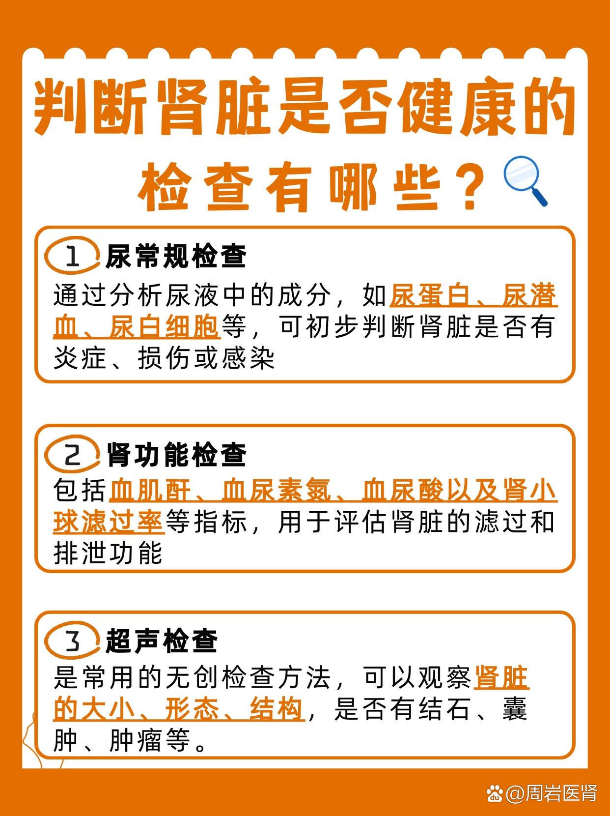 肾部保养是什么项目？