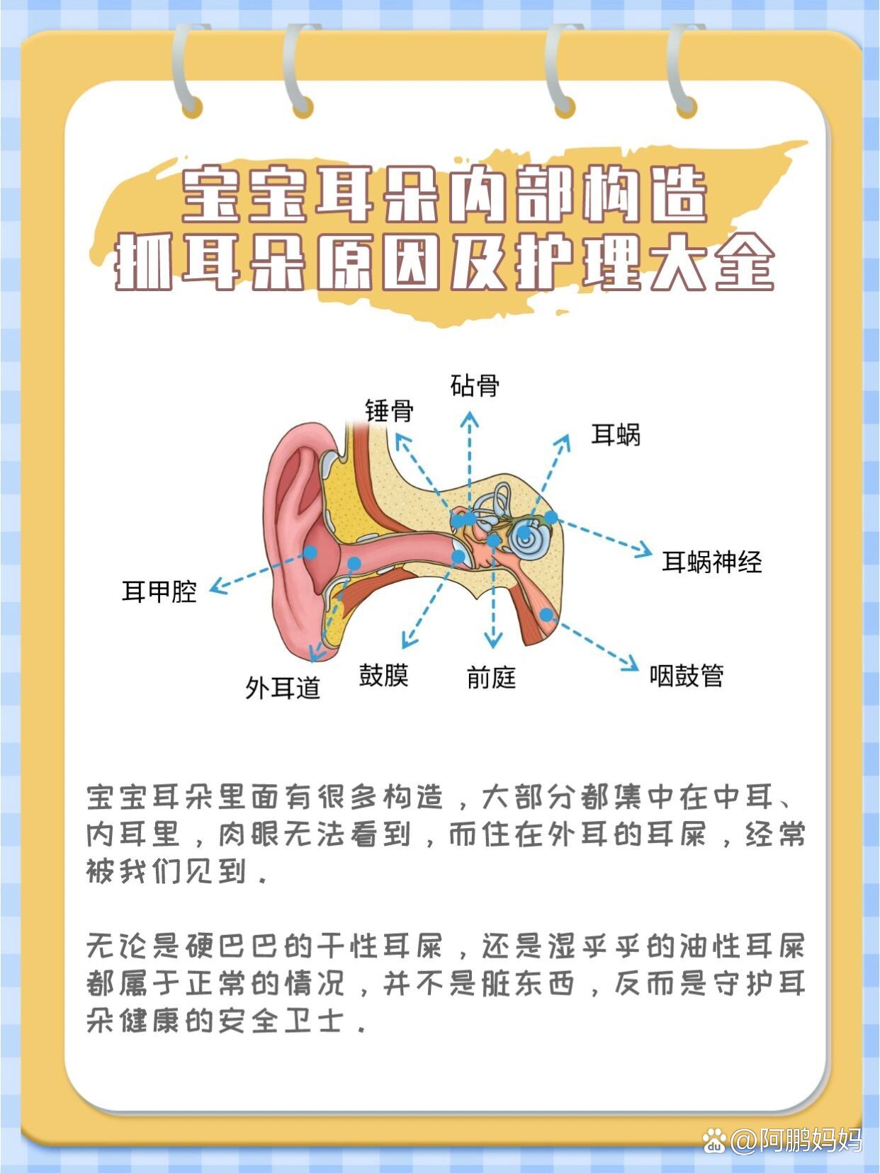 宝宝耳朵内部构造?抓耳朵原因及护理大全