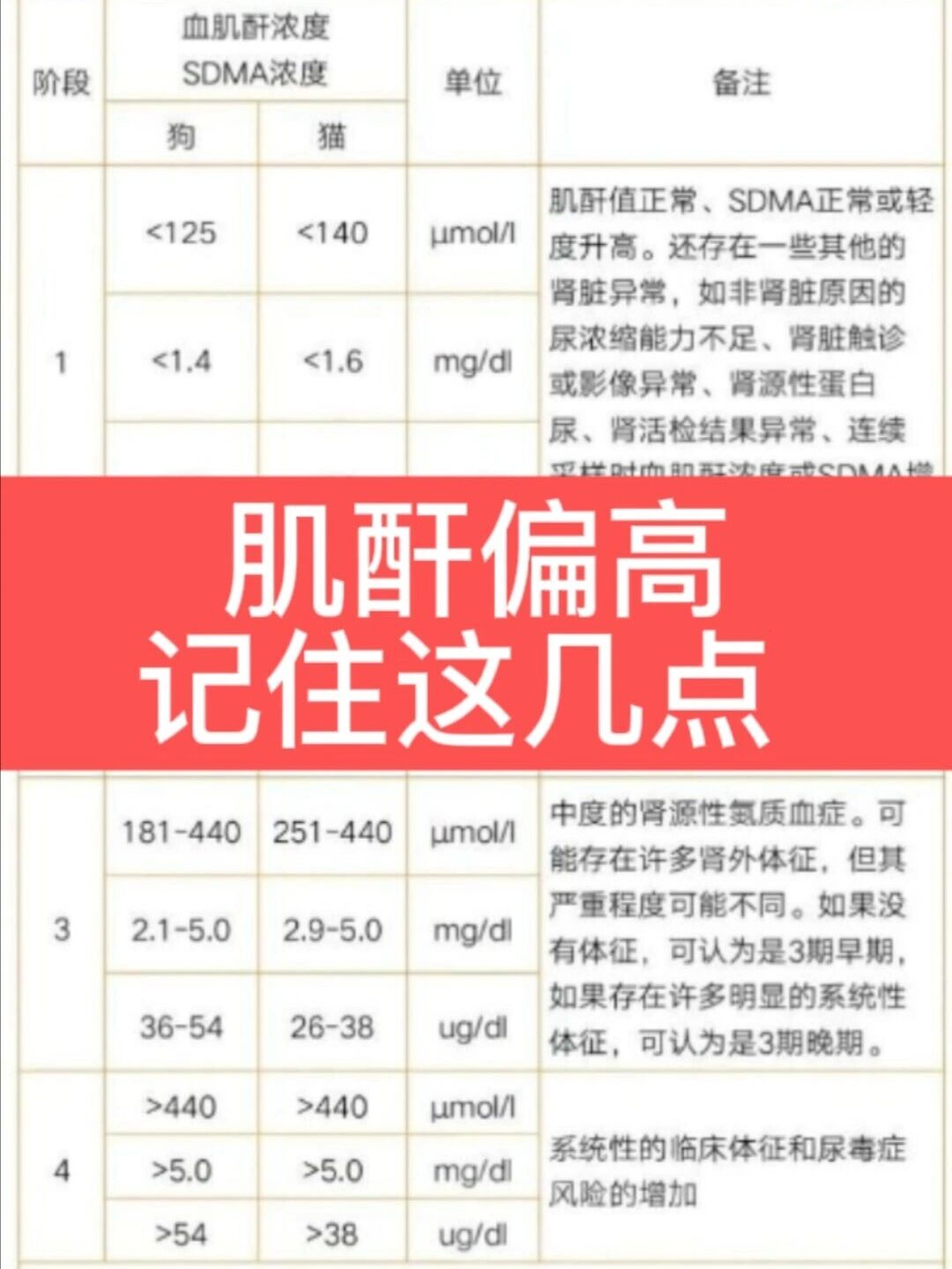 单纯肌酐偏高 无意义图片