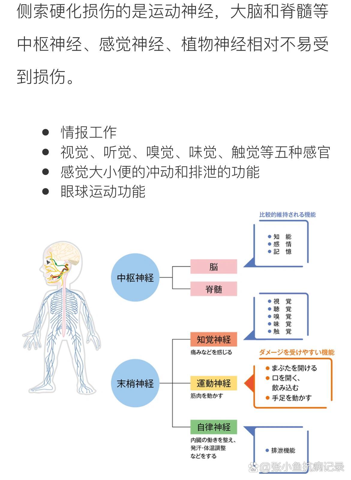 渐冻症是什么原因导致图片