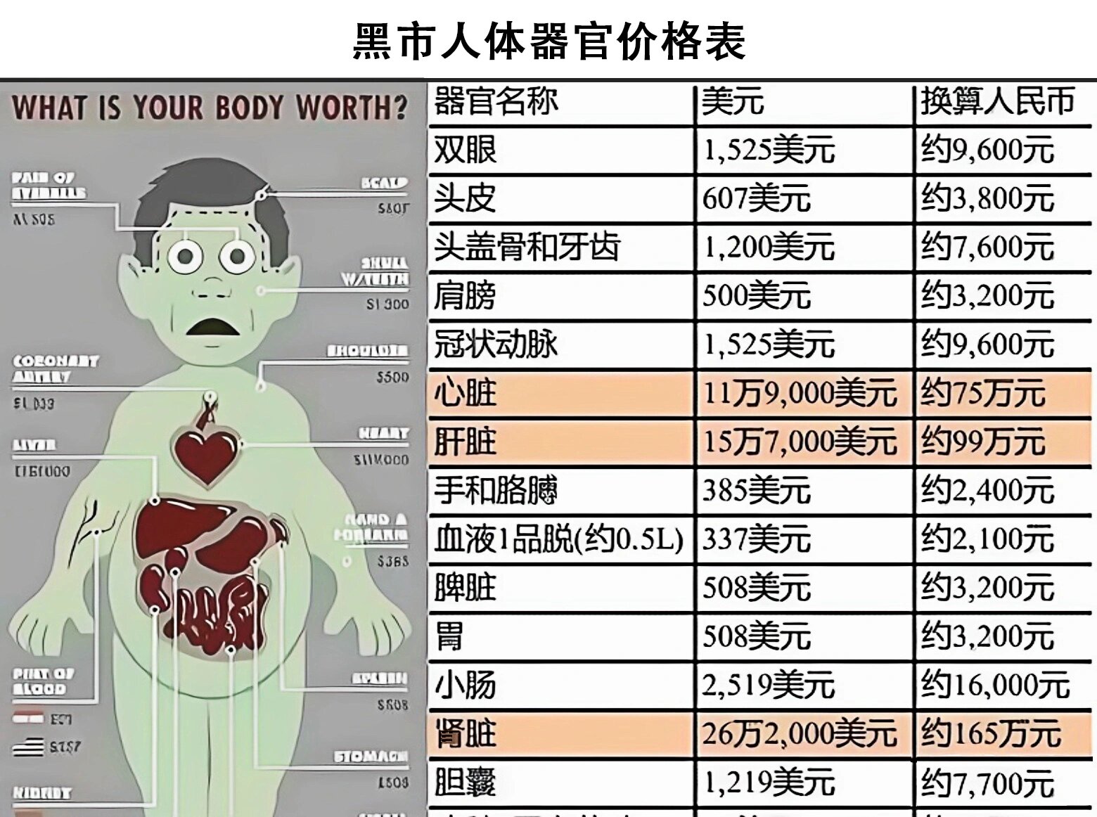 人体器官黑市电话图片