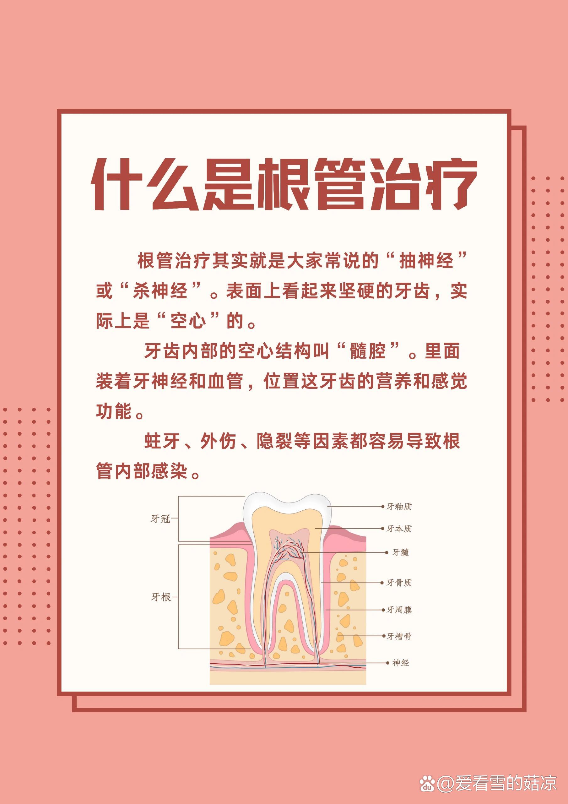 建根图片和用法图片