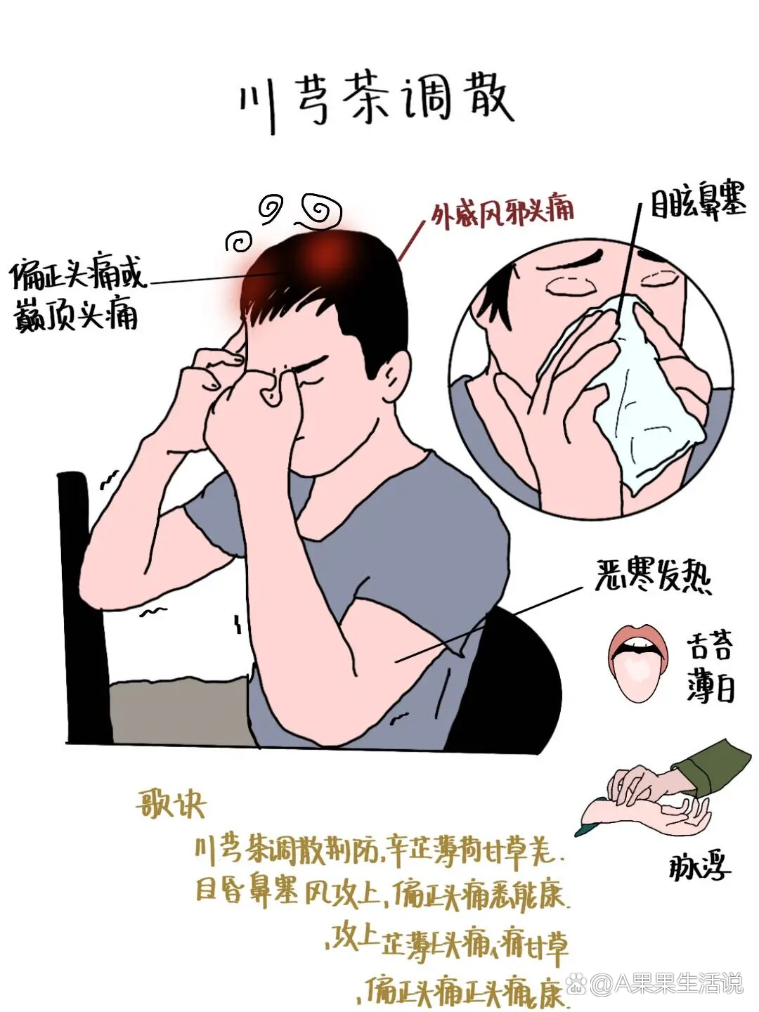 ?趣味方剂学～川芎茶调散