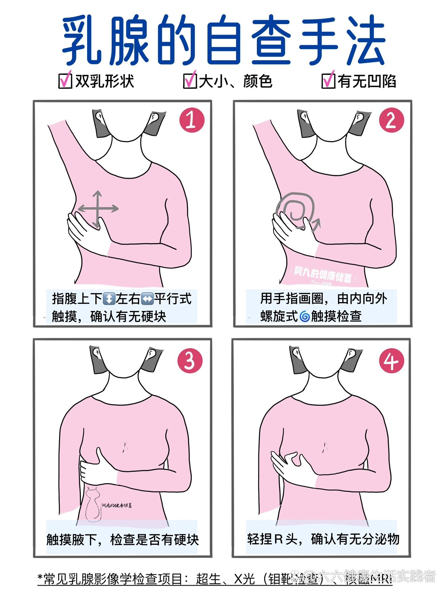 乳房结构图中乳房硬块图片