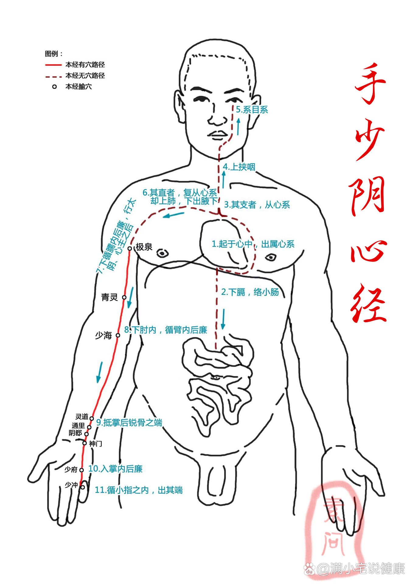 手臂6条经络图片