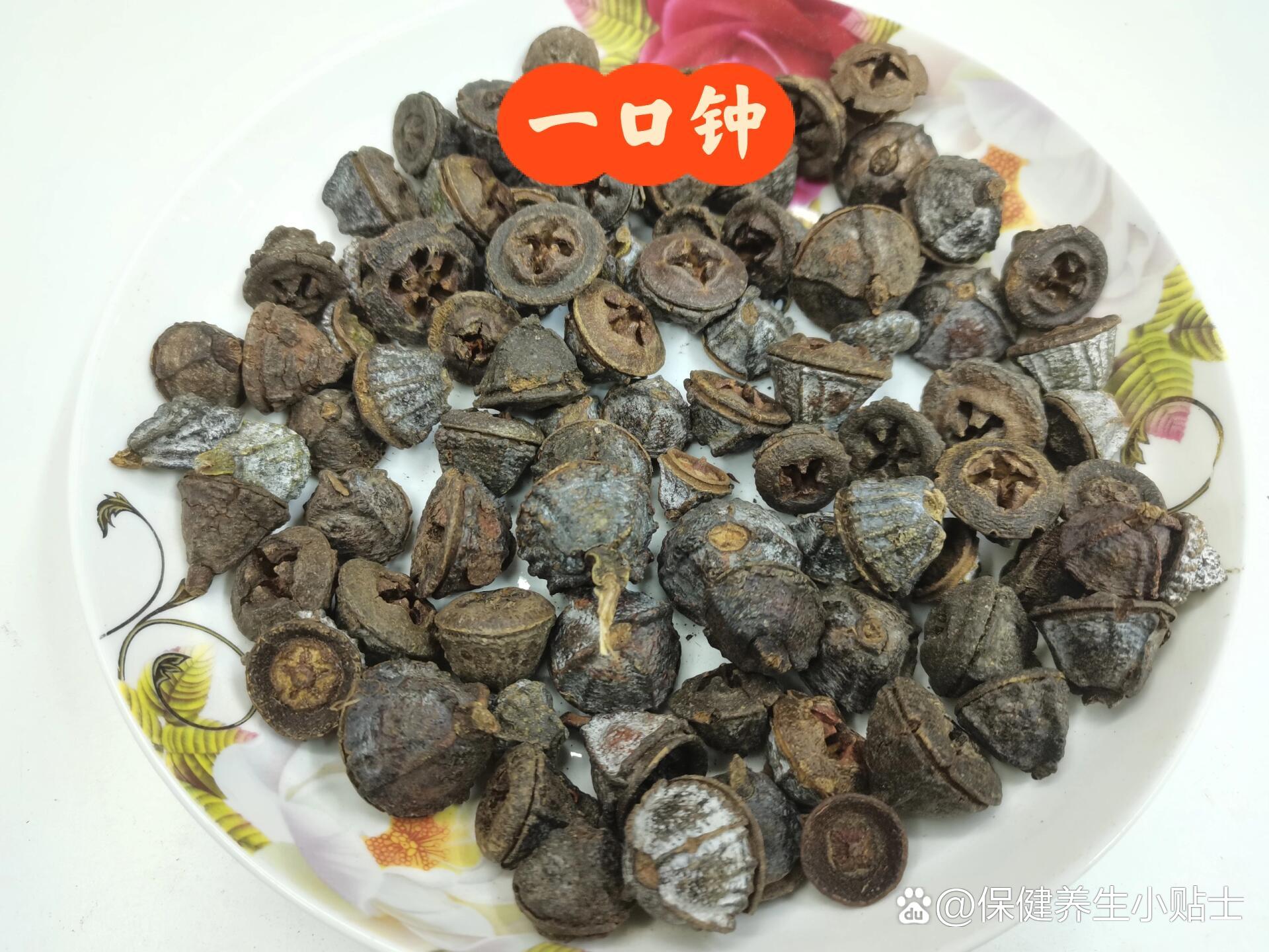 每日一味中药材,一口钟