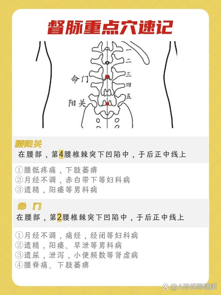 督脉重点穴位速记合集97附督脉巡行图