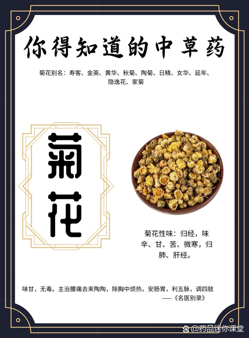 每日认识一味中草药