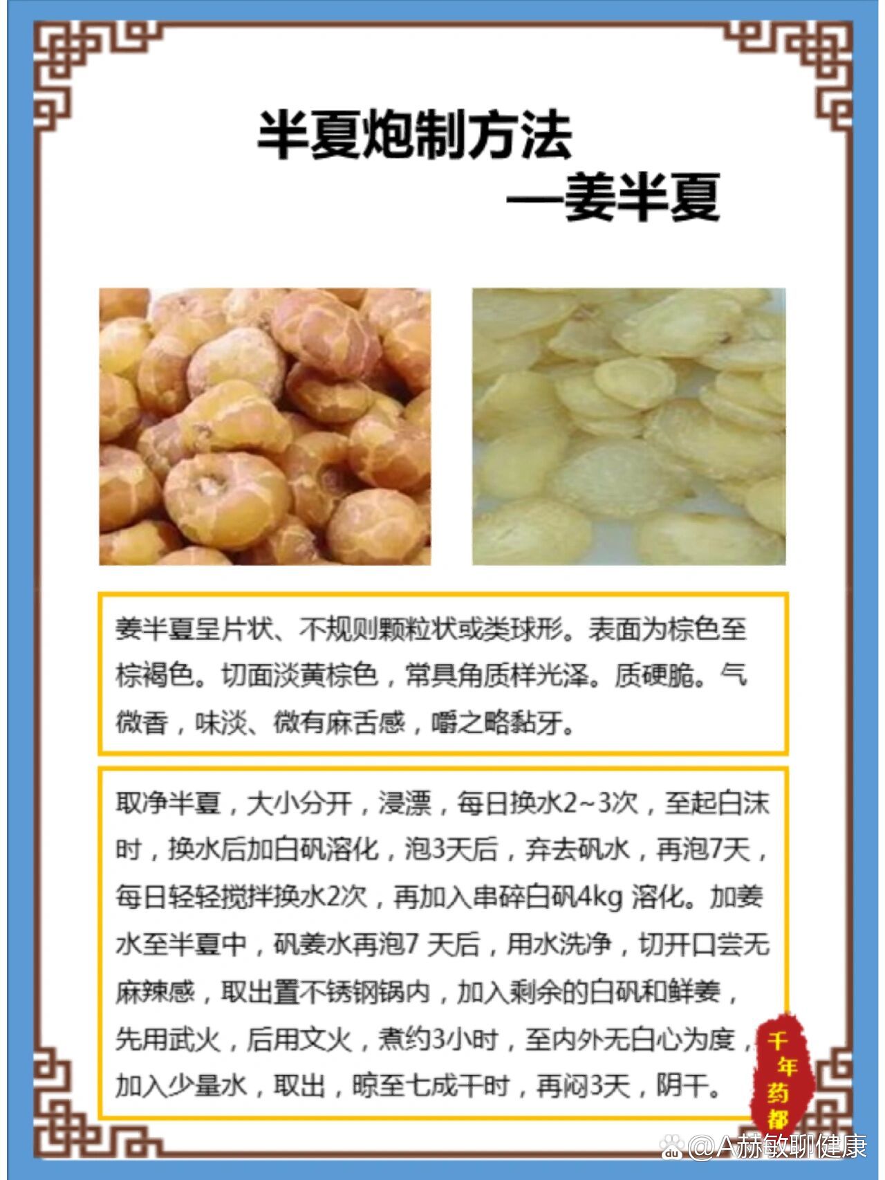 每天学习一味中草药——半夏