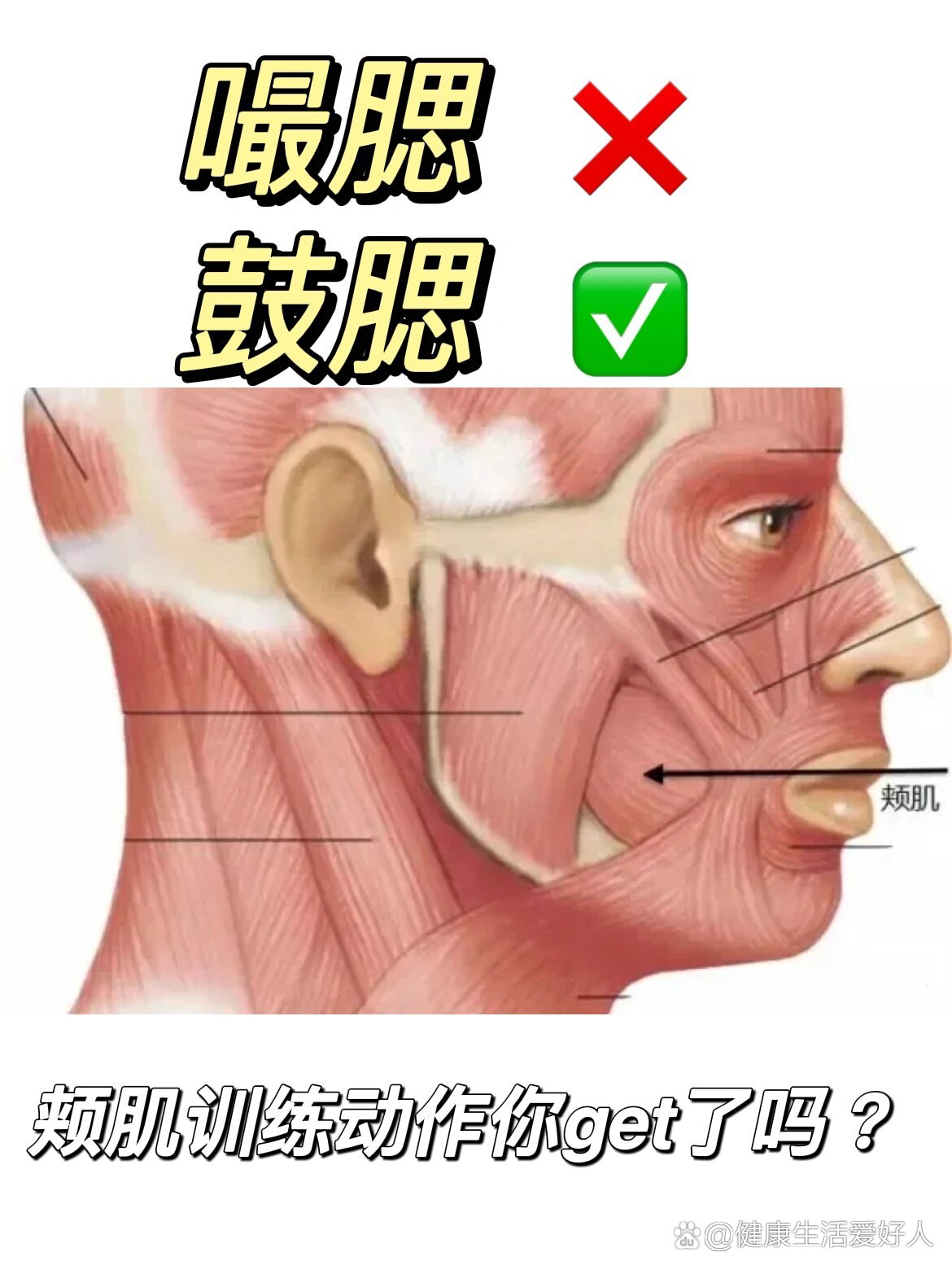 颊肌训练真是简单得不能再简单了