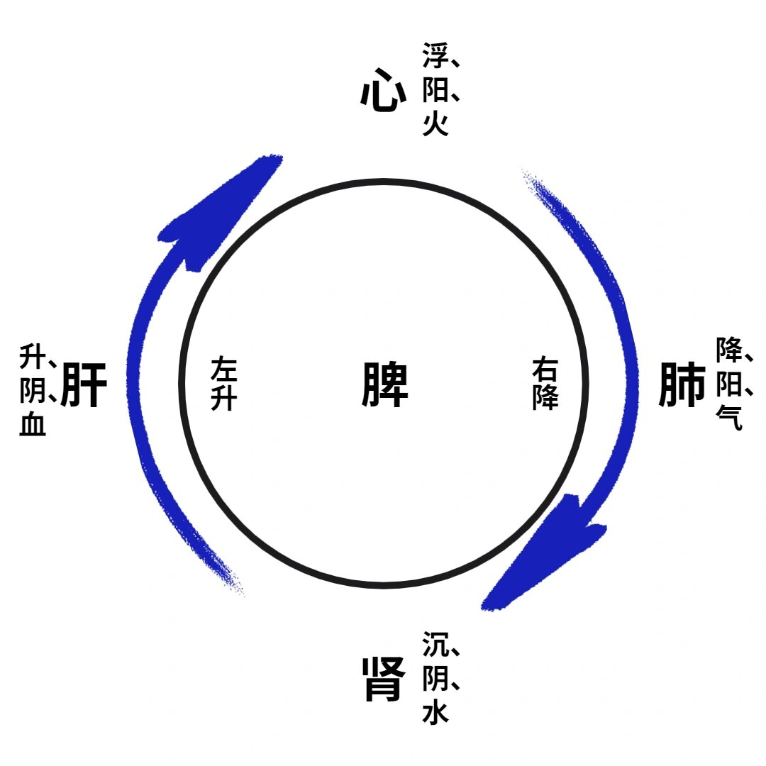 p 五脏气机