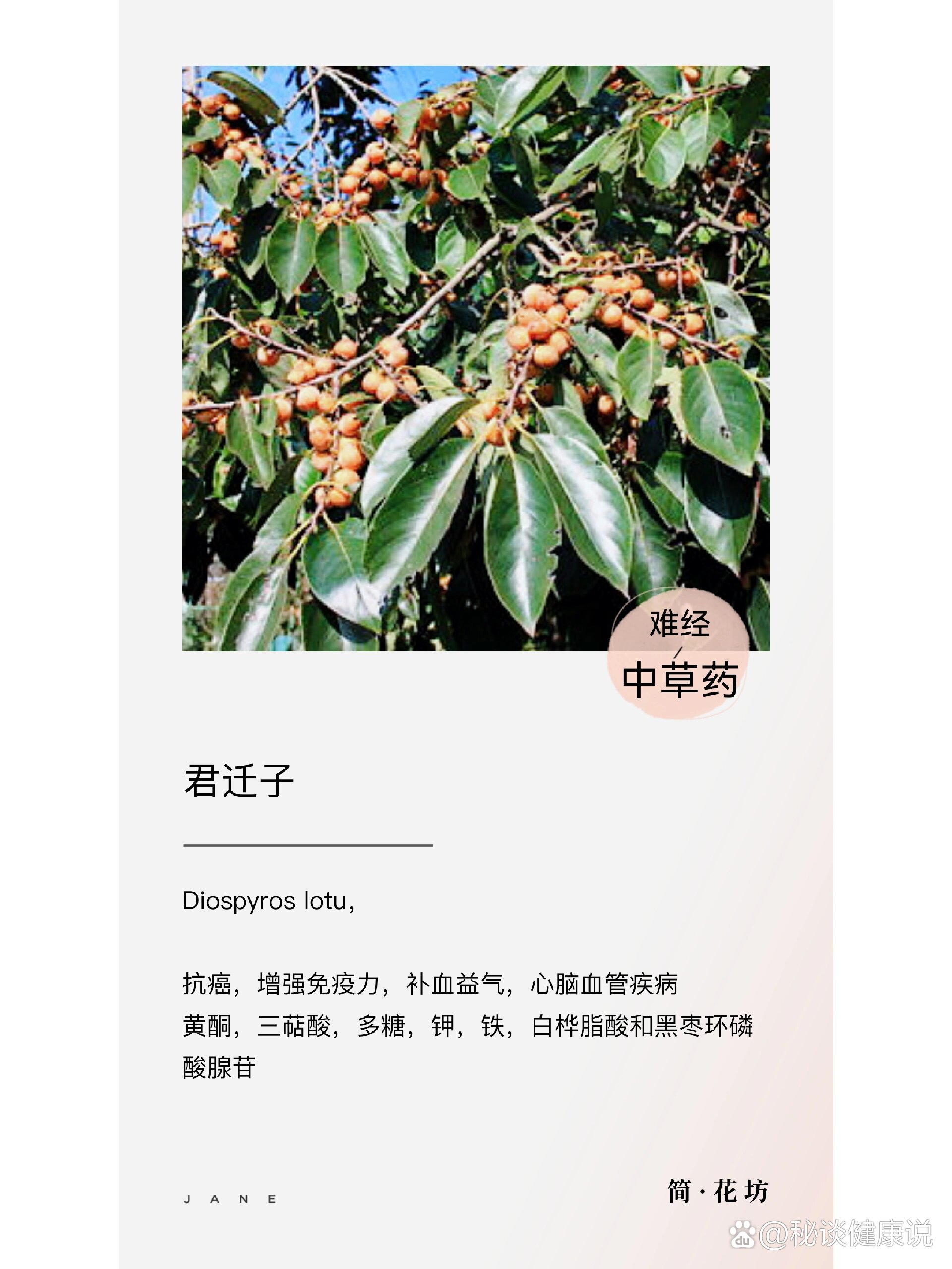 黑枣君迁子