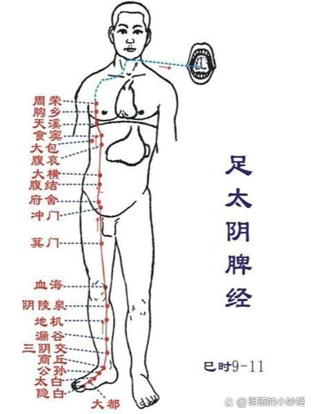 隐白的准确位置图片图片