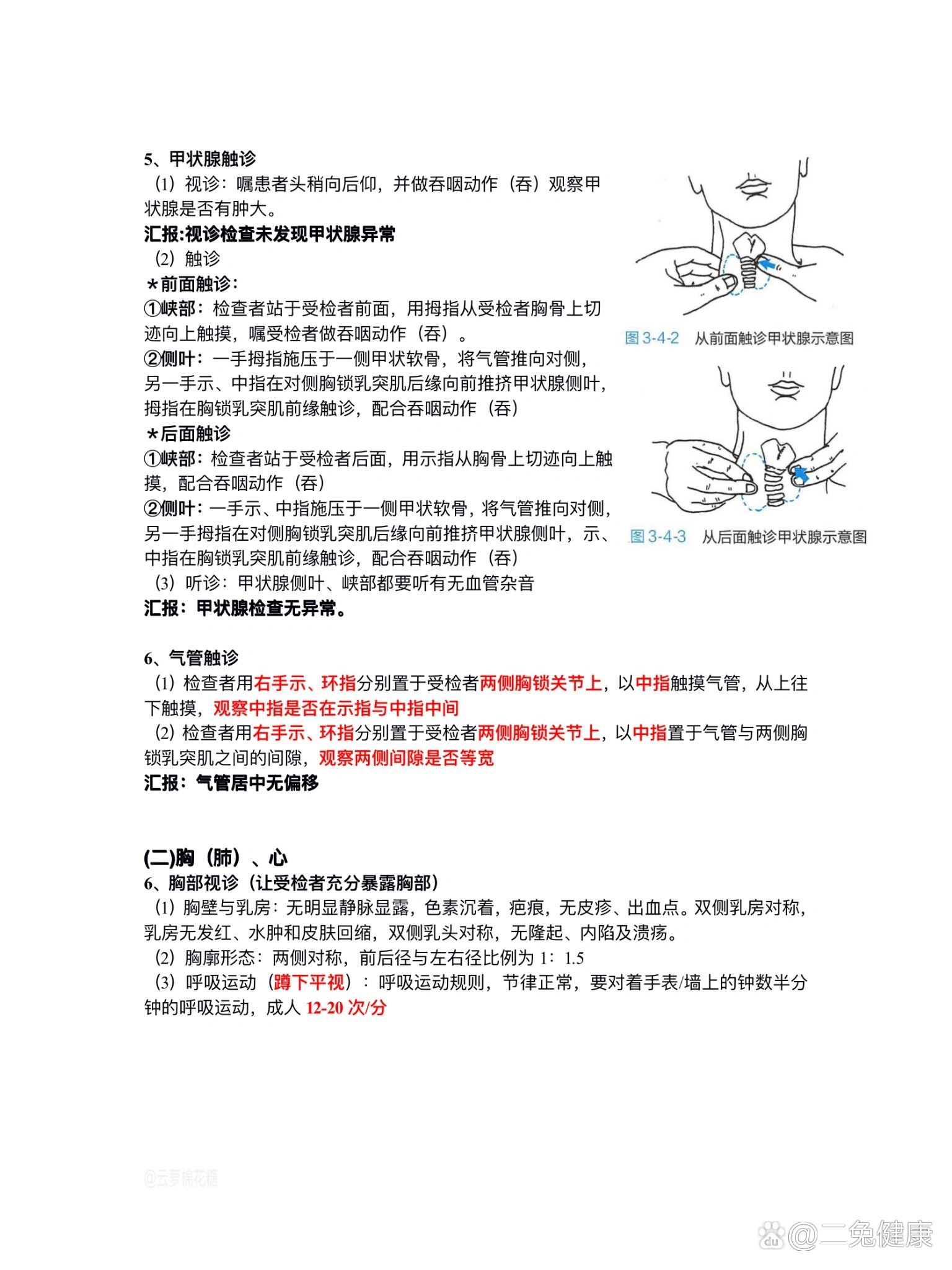 甲状腺及胸部触诊