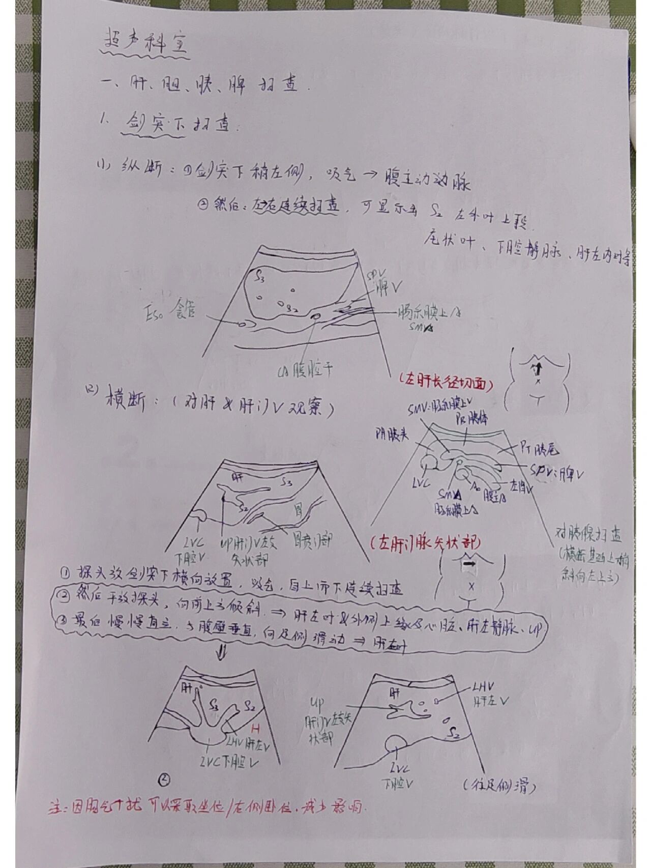 如何看懂腹部彩超图图片