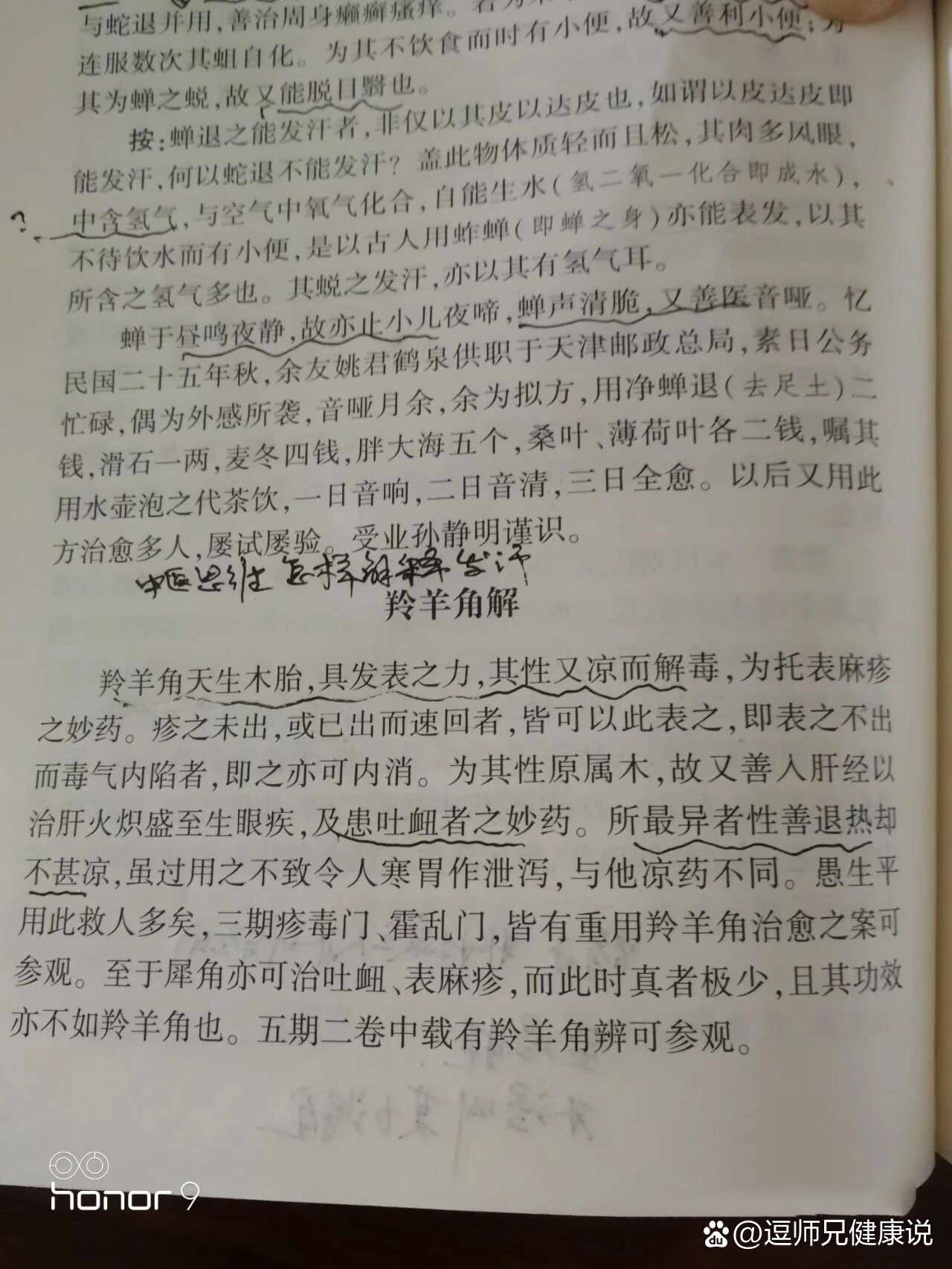 无副作用退烧药——羚羊角粉
