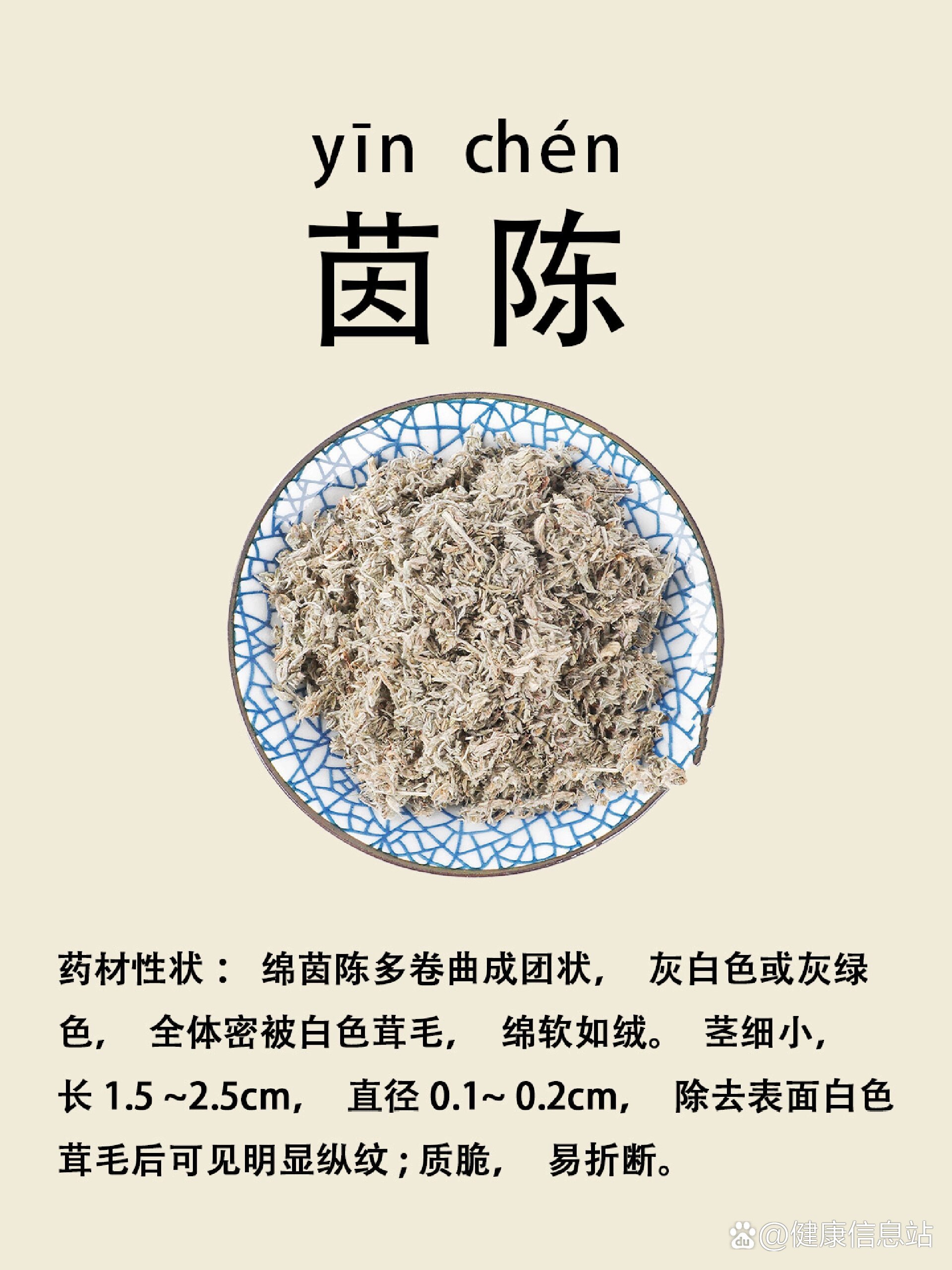 茵陈的功效与作用功能图片