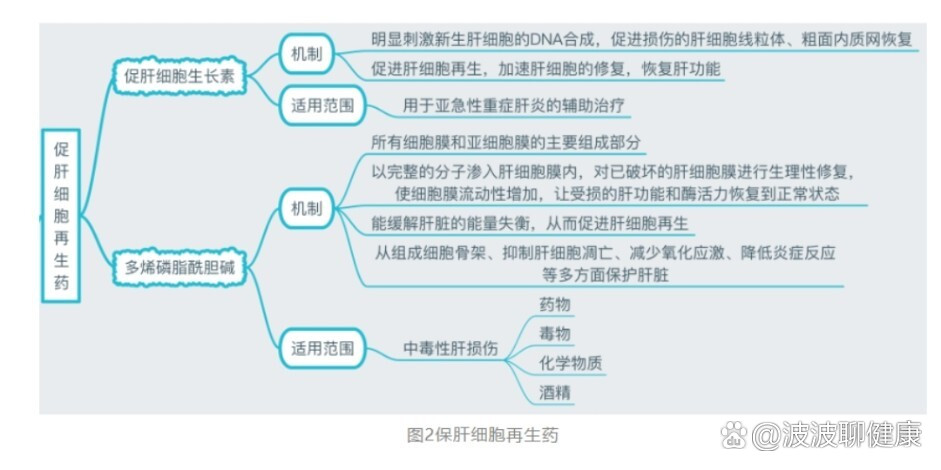 br>利胆类保肝药  br>中草药及其提取物  br>降酶类---联苯双酯,双环