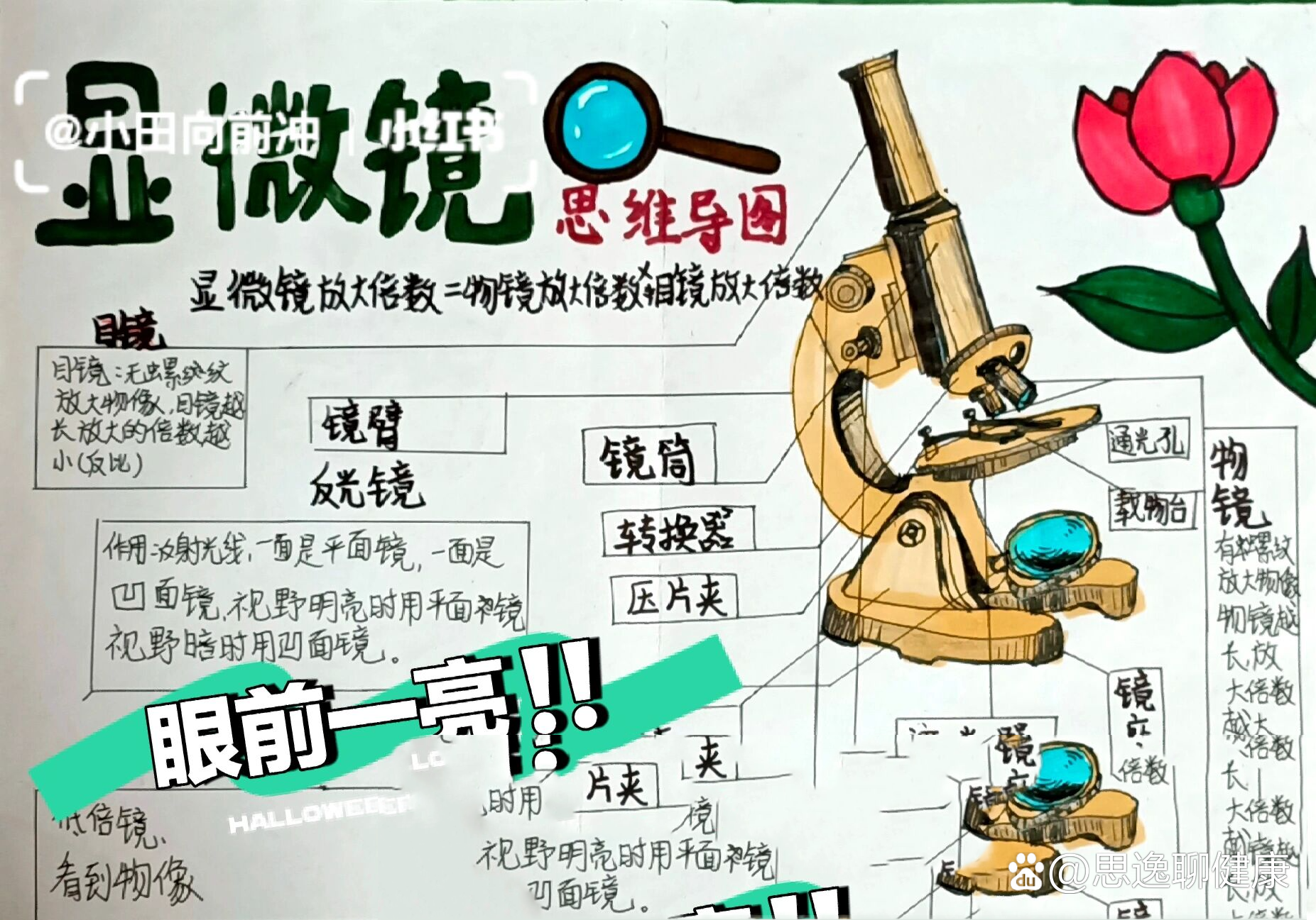 《显微镜的使用》——思维导图