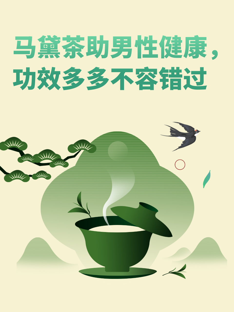 马黛茶的功效与作用图片