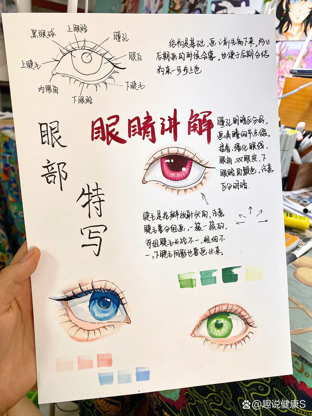 眼睛的构造