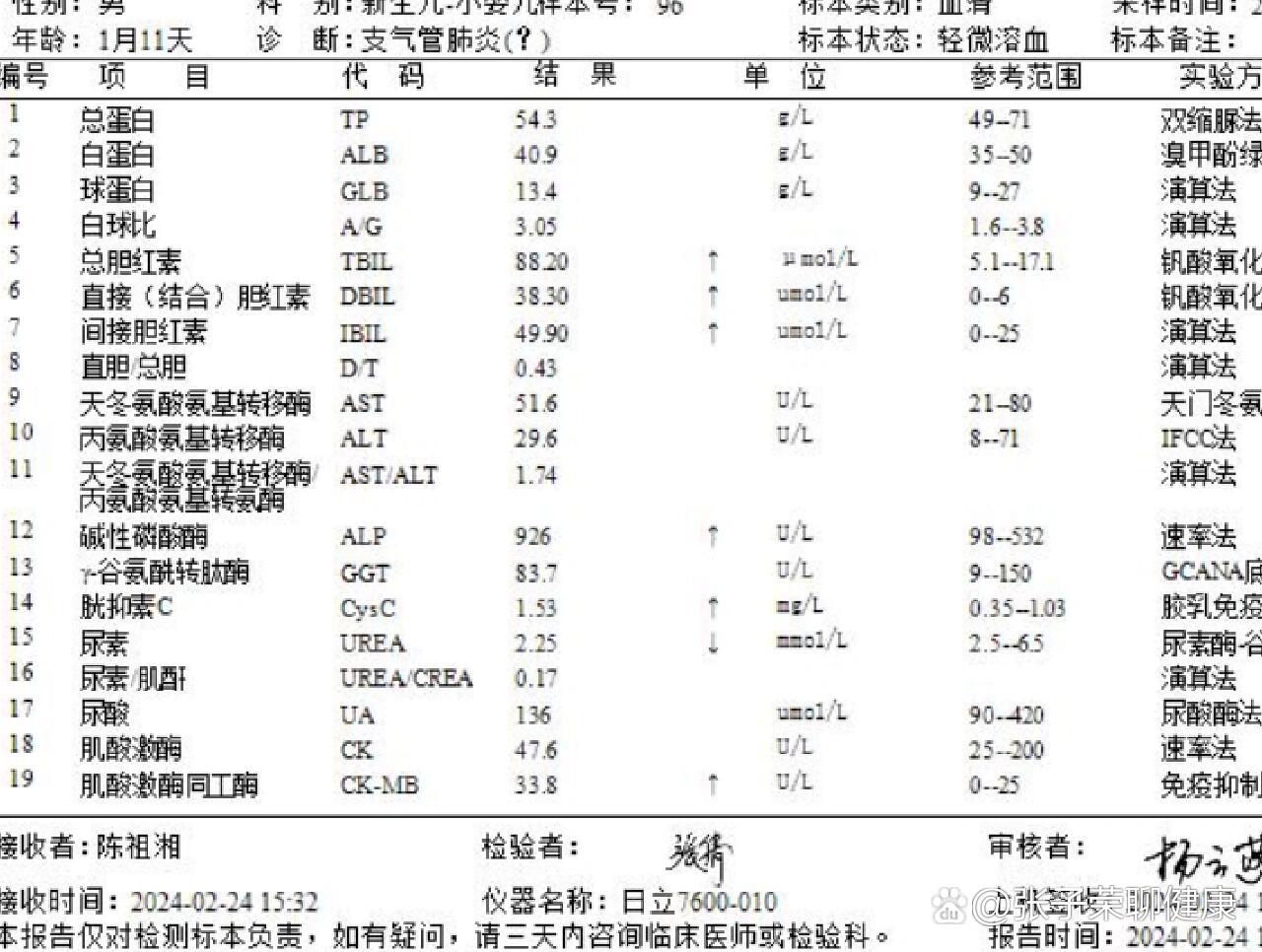 胆汁淤积样的位置图片图片