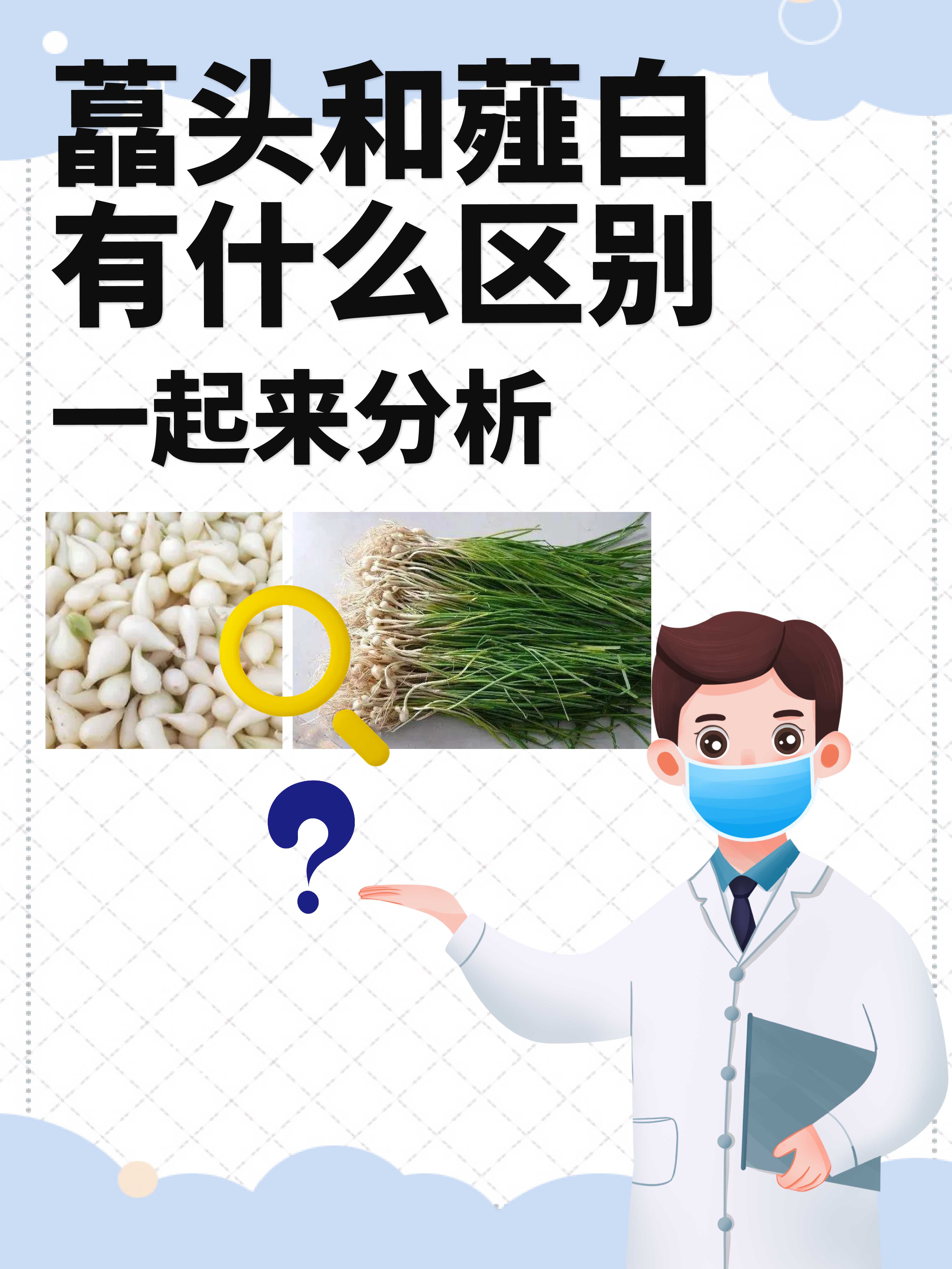 藠头和薤白有什么区别?一起来分析