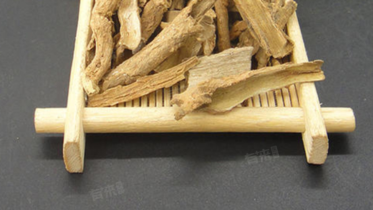 地骨皮的十大功效与作用