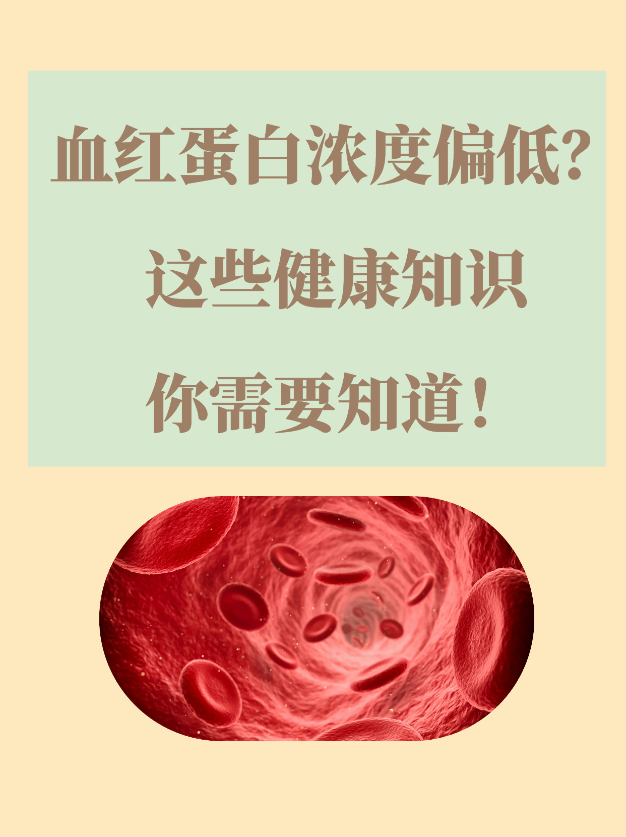 血红蛋白浓度偏低?这些健康知识你需要知道!