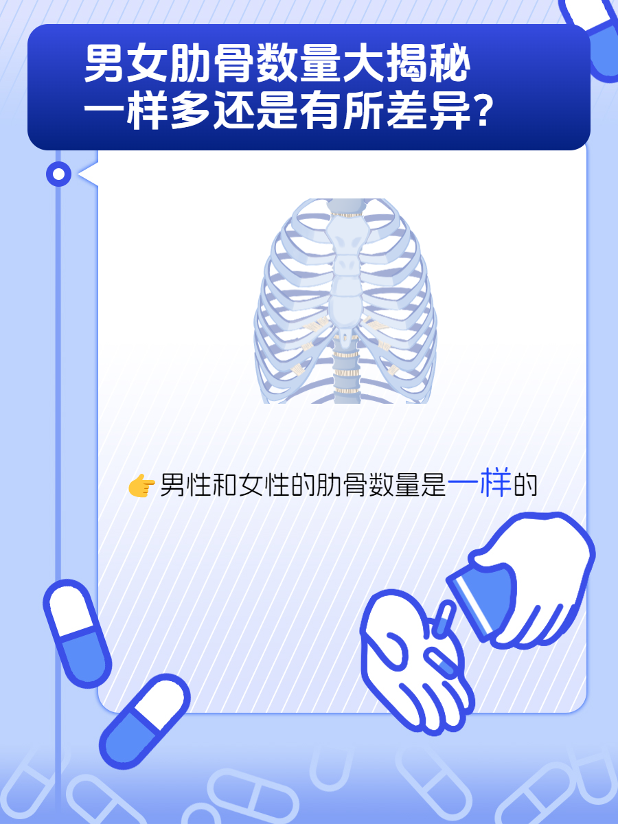男女肋骨数量大揭秘:一样多还是有所差异?
