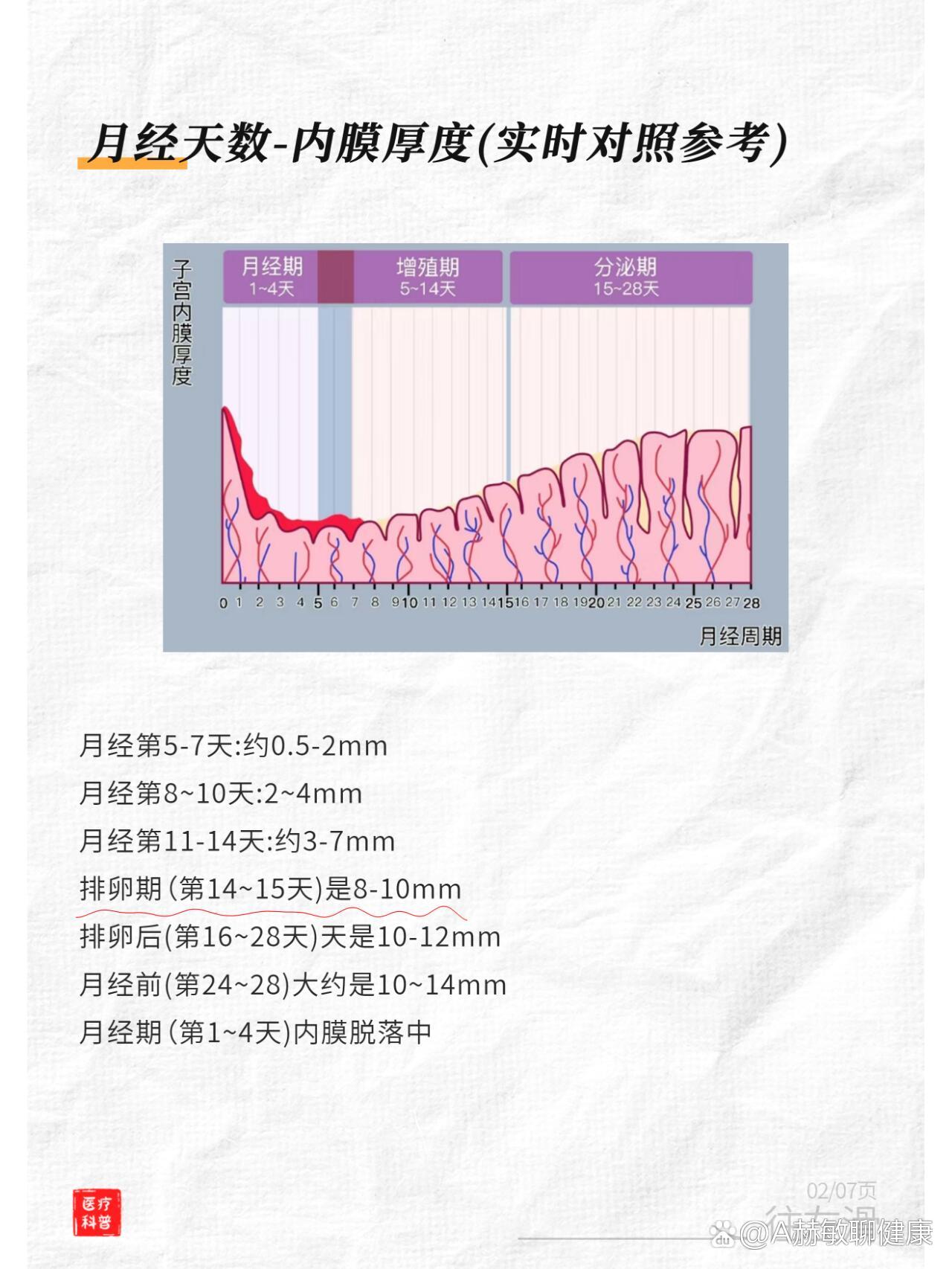 子宫内膜厚度多少正常图片