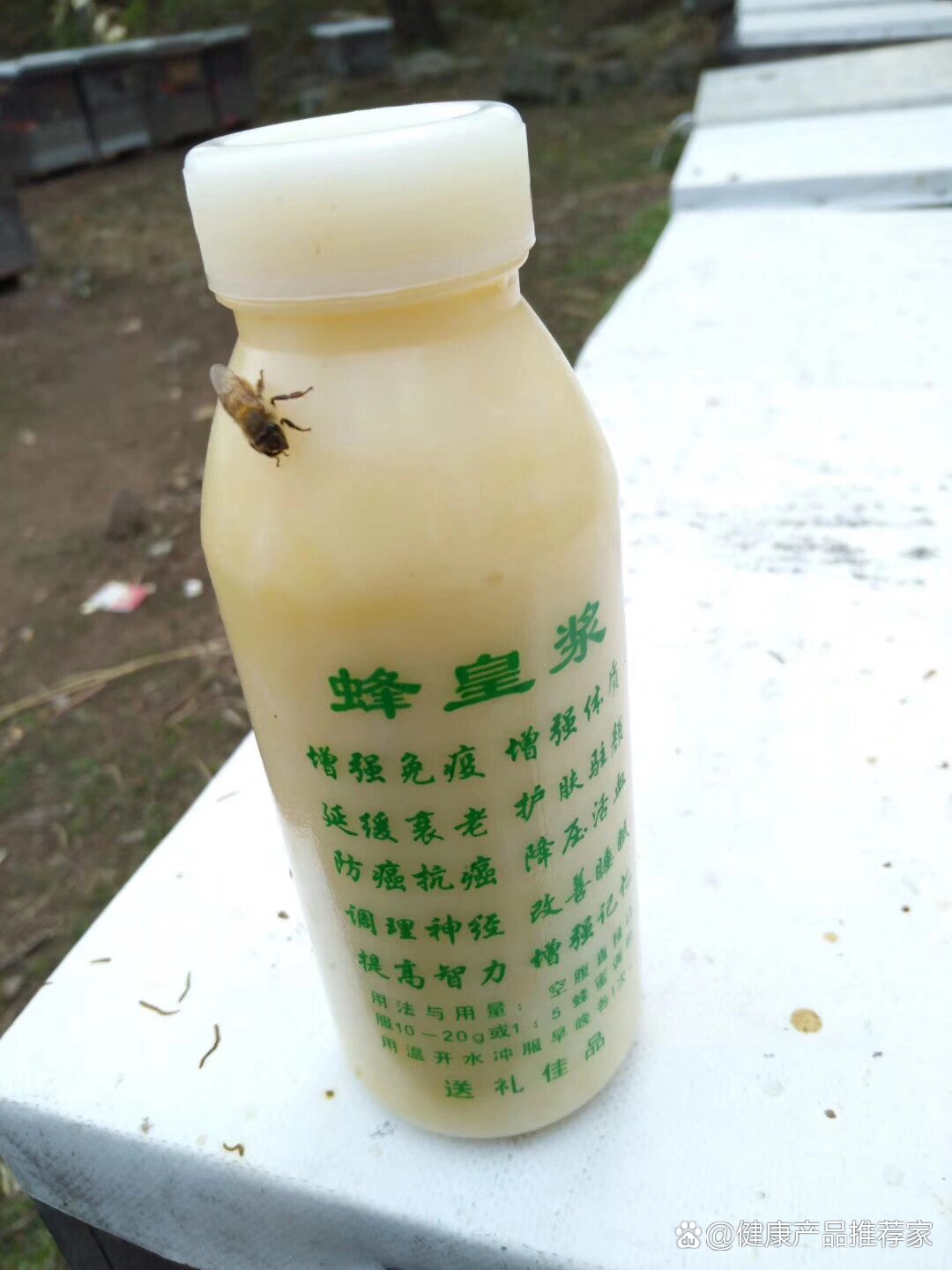 蜂王浆冻干粉可以降低血糖,血脂水平!