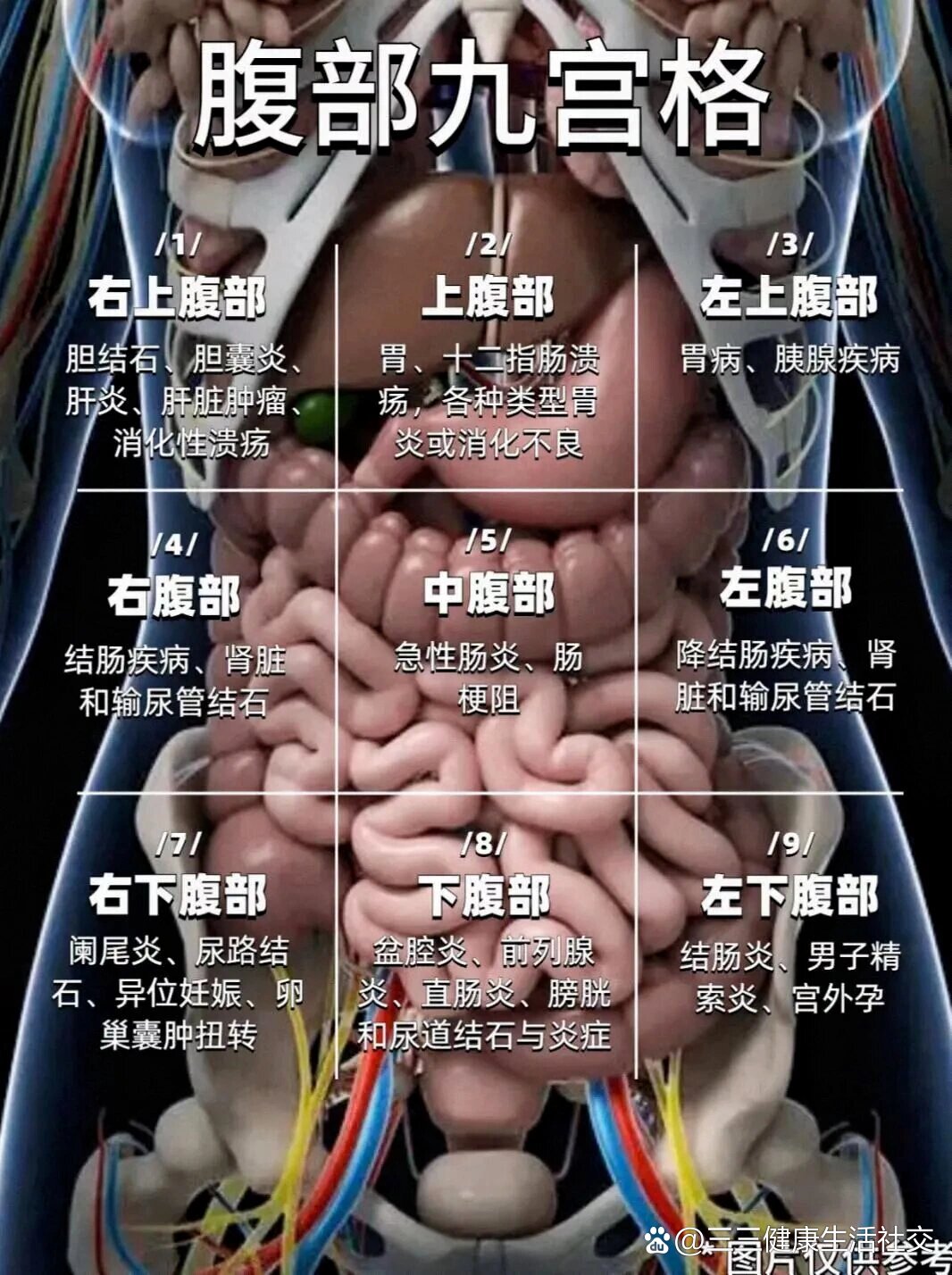 腹部疼痛部位图解来了,不要傻傻说肚子痛了,按照部位看情况!