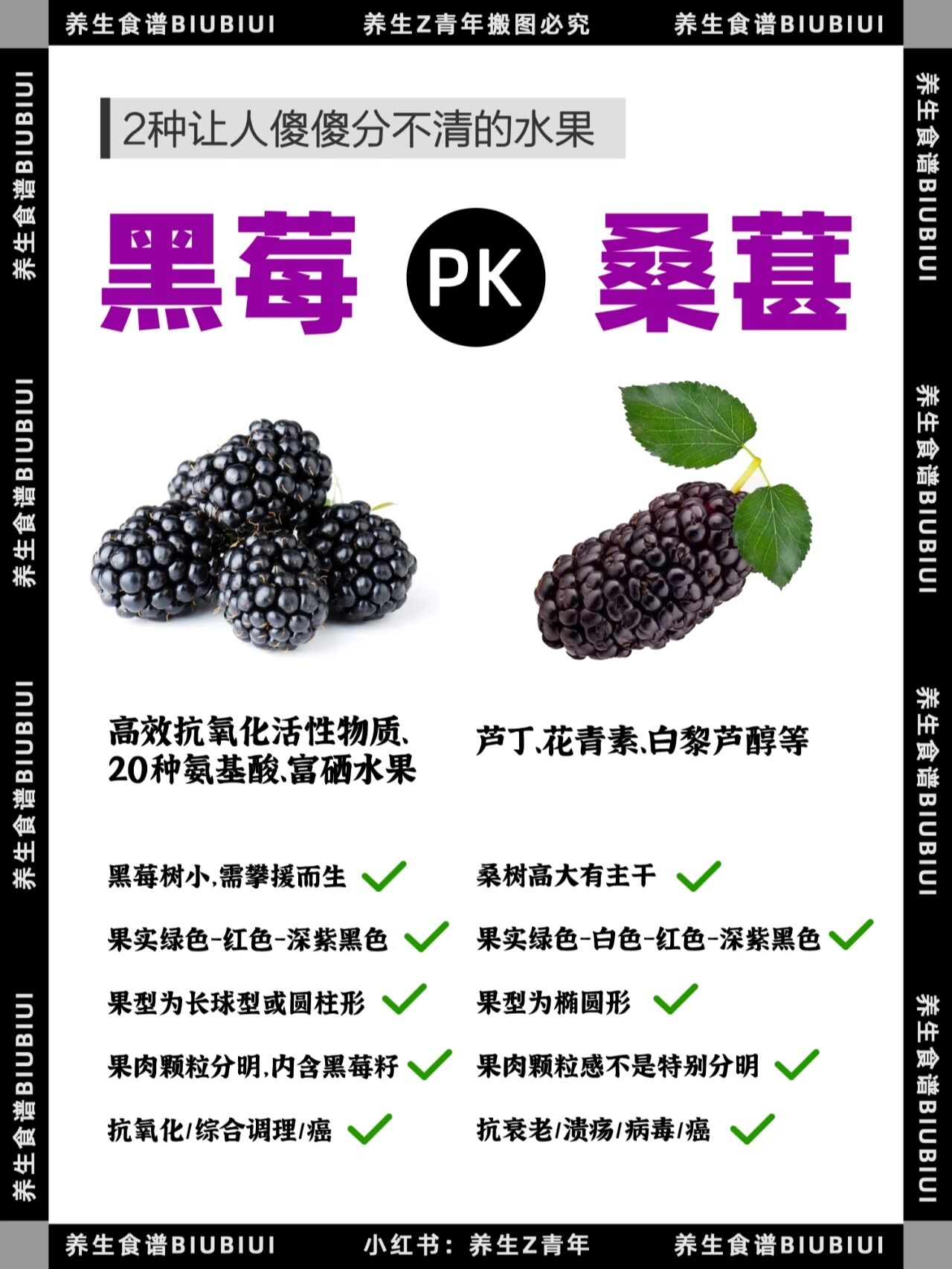 养生食谱‖黑莓桑椹,傻傻分不清,有区别吗