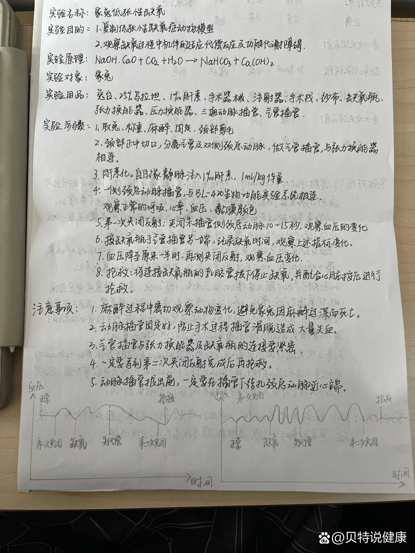 家兔低张性缺氧实验报告