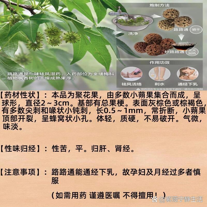 路路通  br>91别名:枫实,枫果,枫木,上球,枫香果,九空子,枫树球