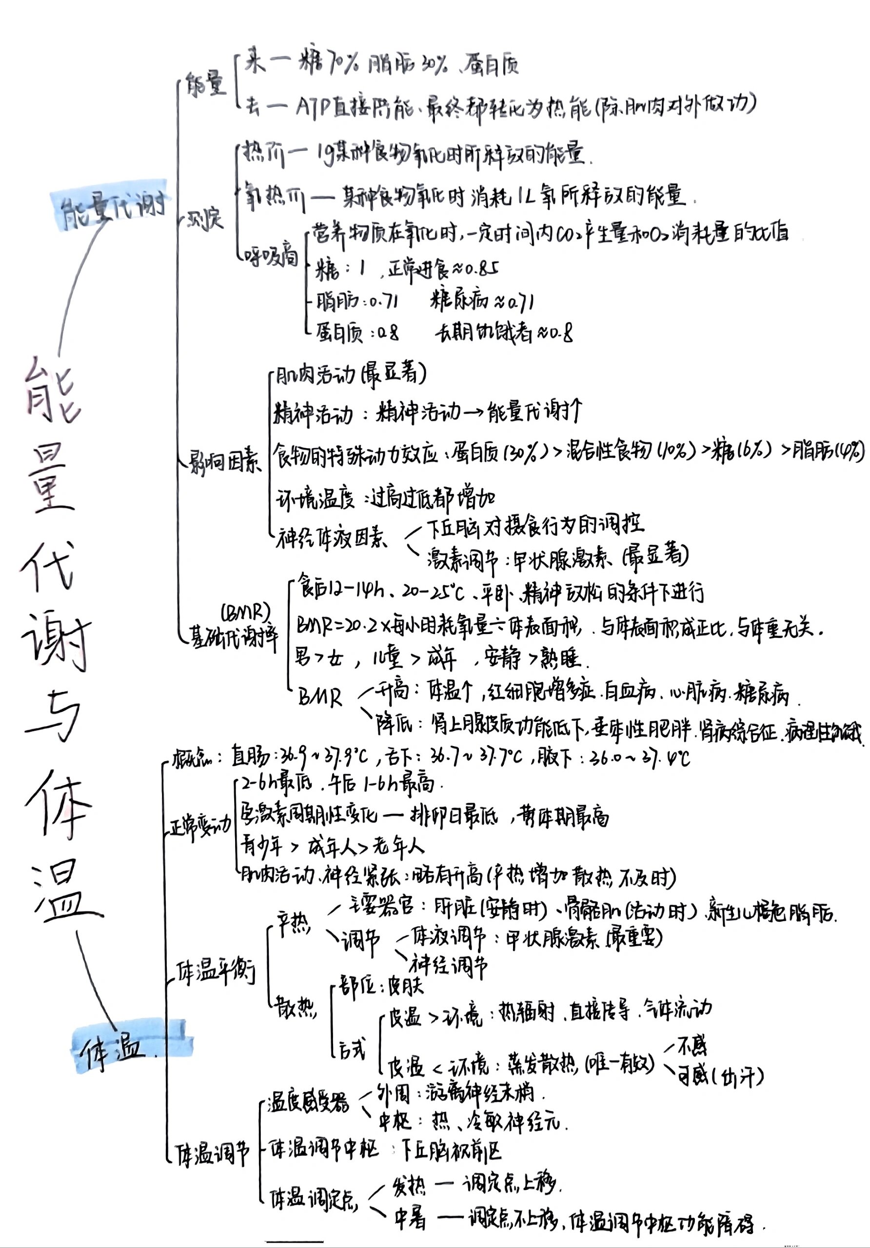 生理学第七章能量与代谢思维导图