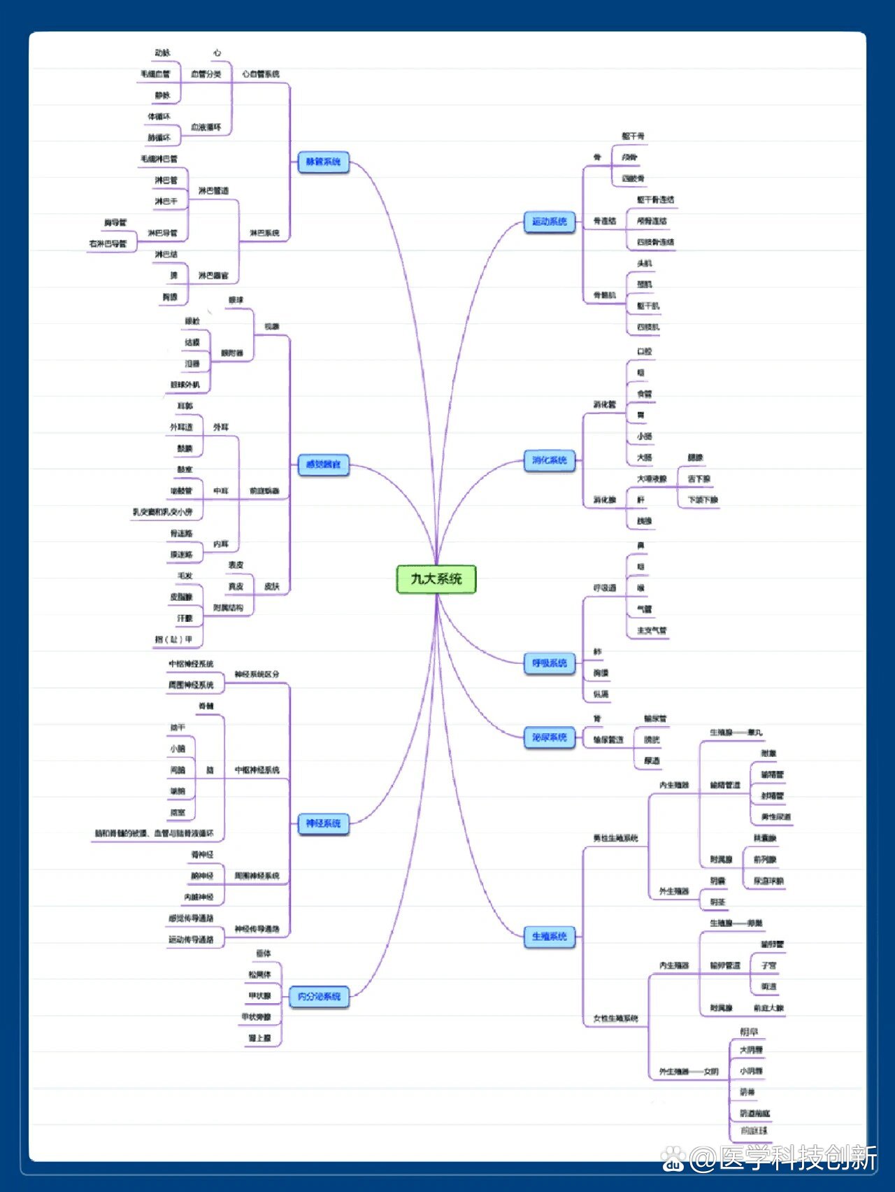 人体九大系统器官基本情况思维导图97