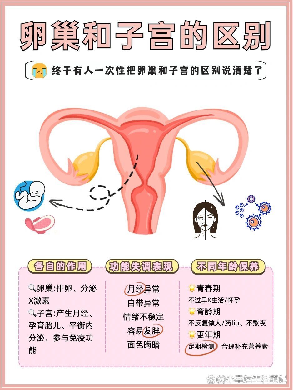 9岁儿童卵巢子宫发育图片