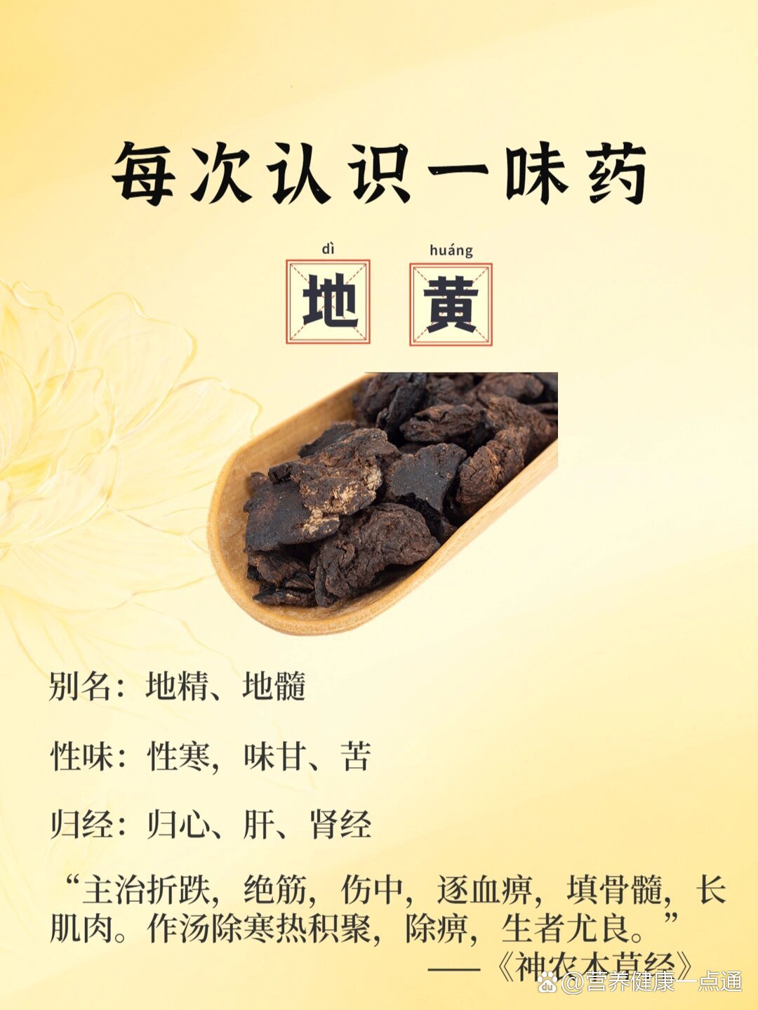 牡蛎,当归,丹参,五味子,川楝子,黄连,麦冬,地黄,菟丝子,白芍,枸杞子