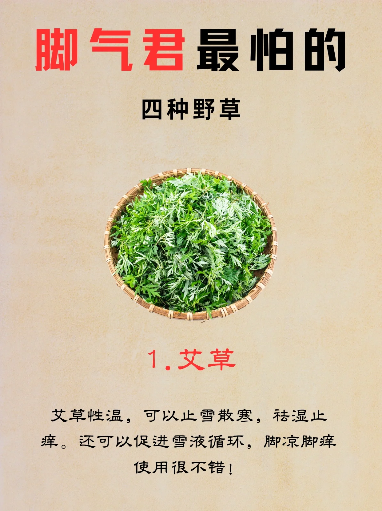 脚气最怕的四种野草