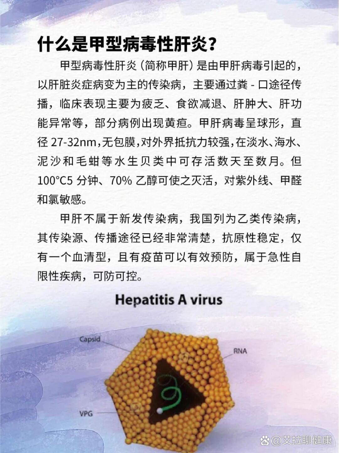 p>科普 | 甲型病毒性肝炎解读及防范 /p>
